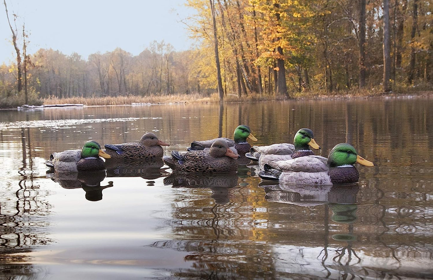 Higdon Outdoors Standard Mallard Duck Decoys | Ultra Realistic Drake & Hen Decoys for Waterfowl Hunting | Foam-Filled & Non-Foam-Filled | 12pk & 6pk Available
