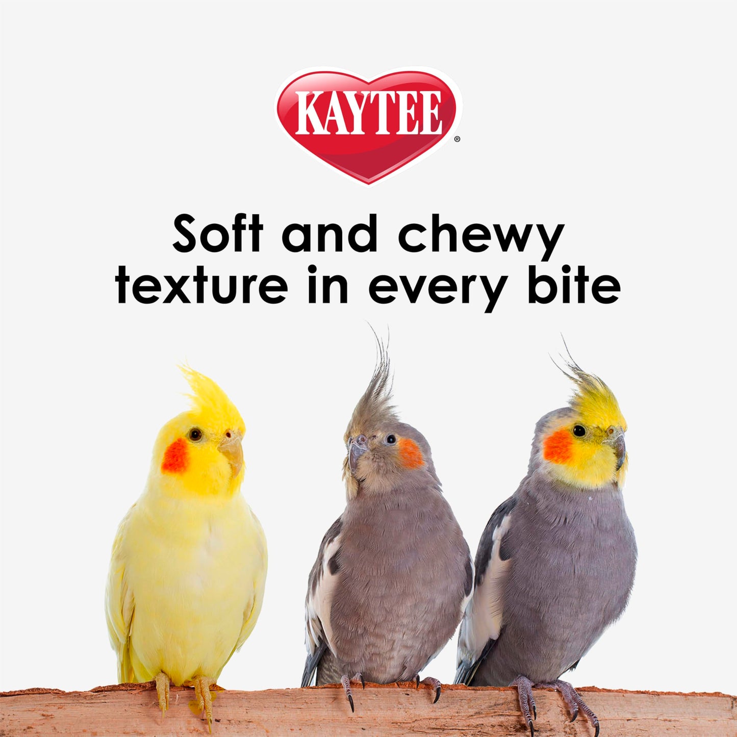 Kaytee Nutri Soft Pet Parrot & Conure Bird Food, 3 Pound