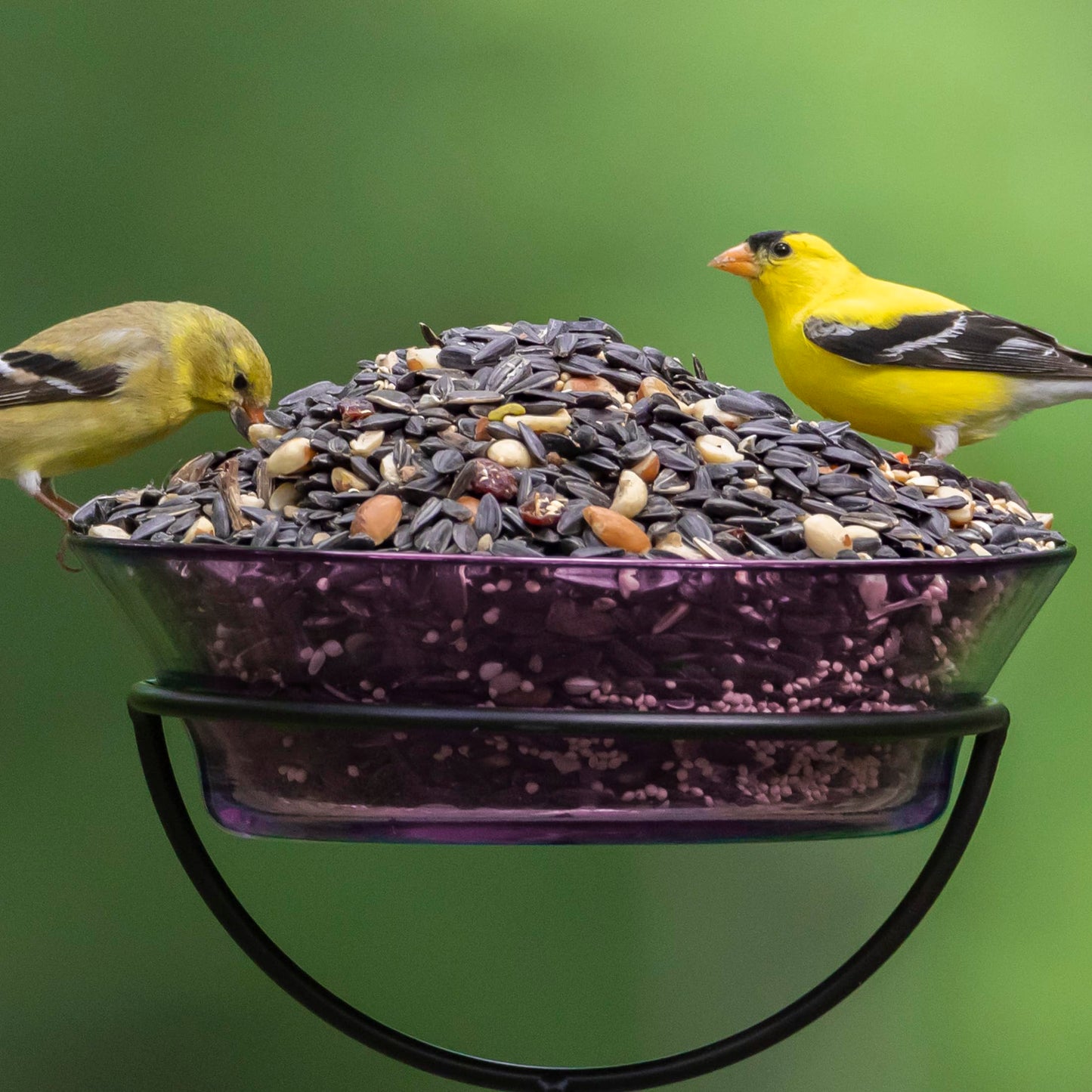Audubon Park Nut & Fruit Wild Bird Seed – 15 lb. Premium Blend with Sunflower Seeds, Peanuts, Safflower & Dried Fruit – Bird Food for Outside Feeders