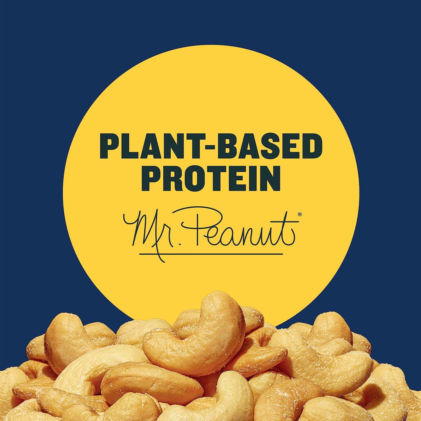 PLANTERS Deluxe Lightly Salted Cashews, Party Snacks, Plant-Based Protein, Quick Snack for Adults, After School Snack, Flavored with Sea Salt, Kosher, 1lb 2.25oz
