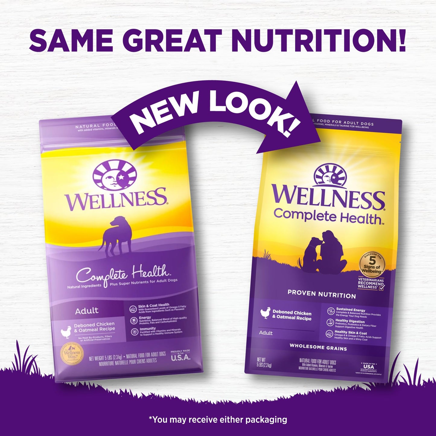 Wellness Complete Health Dry Dog Food, Wholesome Grains, Natural, Lamb & Barley Recipe, (30-Pound Bag)