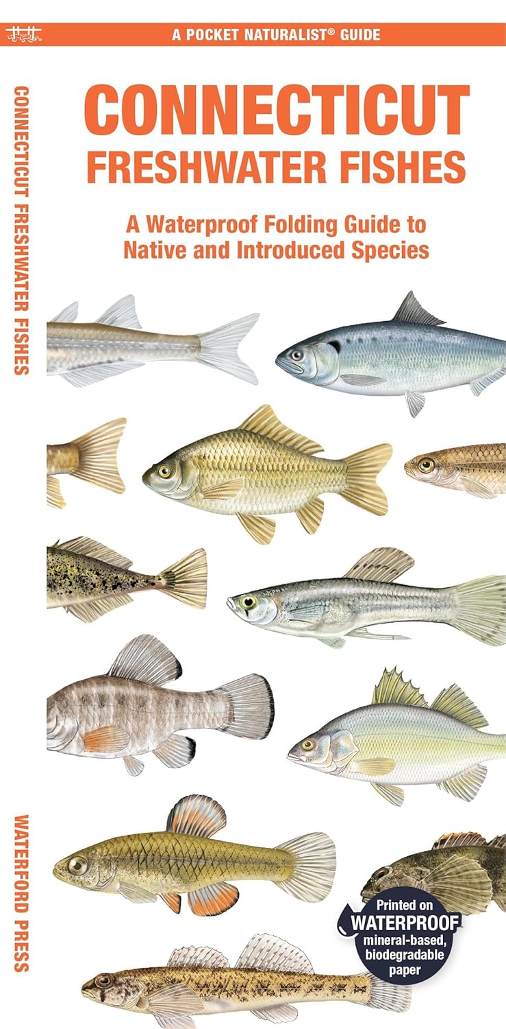 Ct State Fish Connecticut Freshwater Fishes: A Folding Guide to Native and Introduce ...