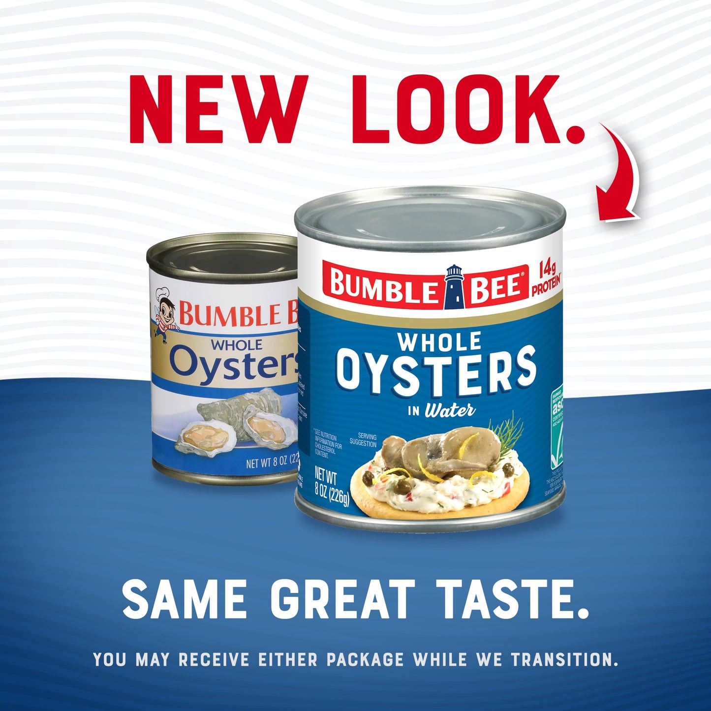 Bumble Bee Hot & Spicy Hardwood Smoked Oysters, 3.75 oz Tin (Pack of 12) - 20g Protein per Serving, Gluten Free, Keto