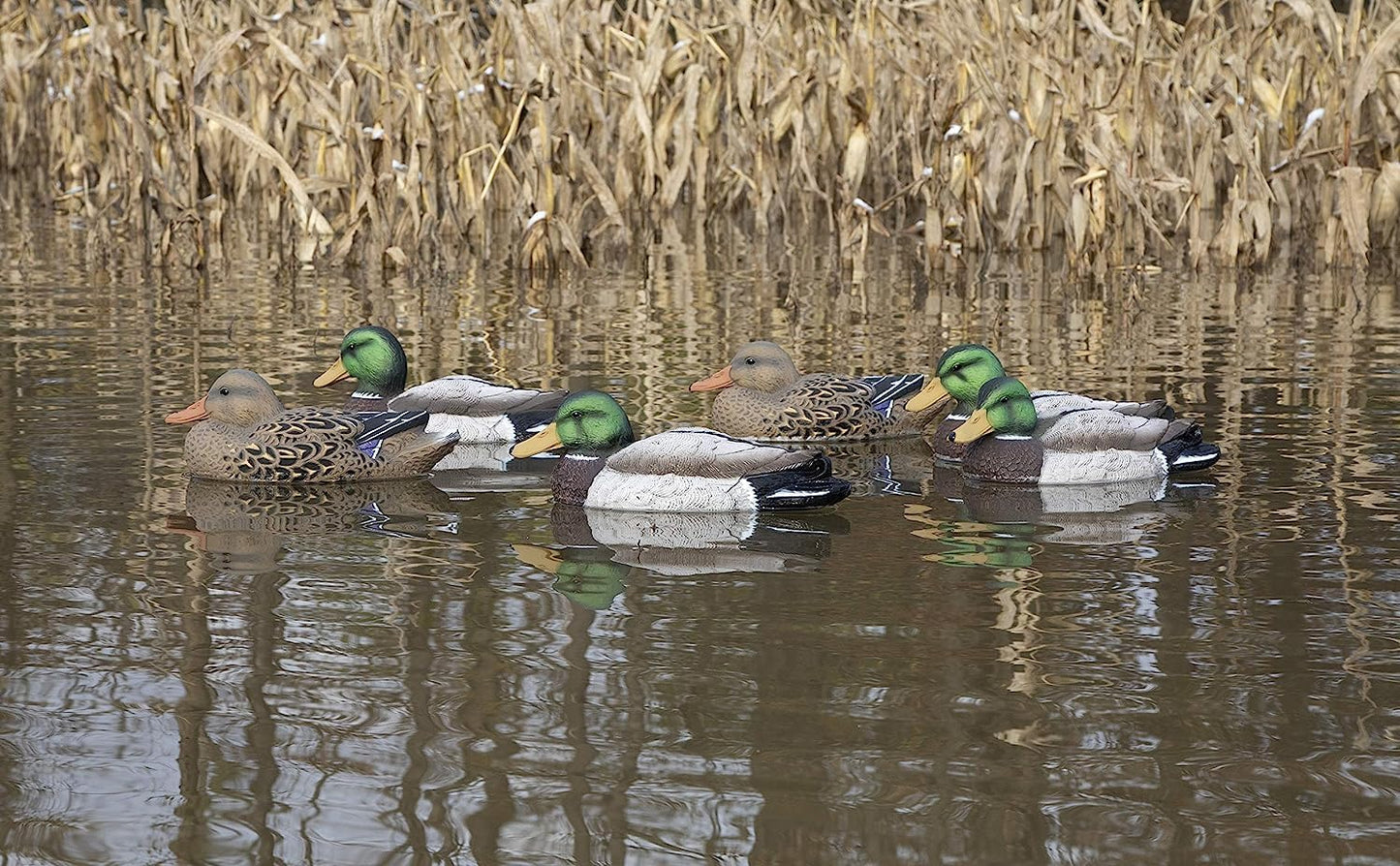 Higdon Outdoors Standard Mallard Duck Decoys | Ultra Realistic Drake & Hen Decoys for Waterfowl Hunting | Foam-Filled & Non-Foam-Filled | 12pk & 6pk Available