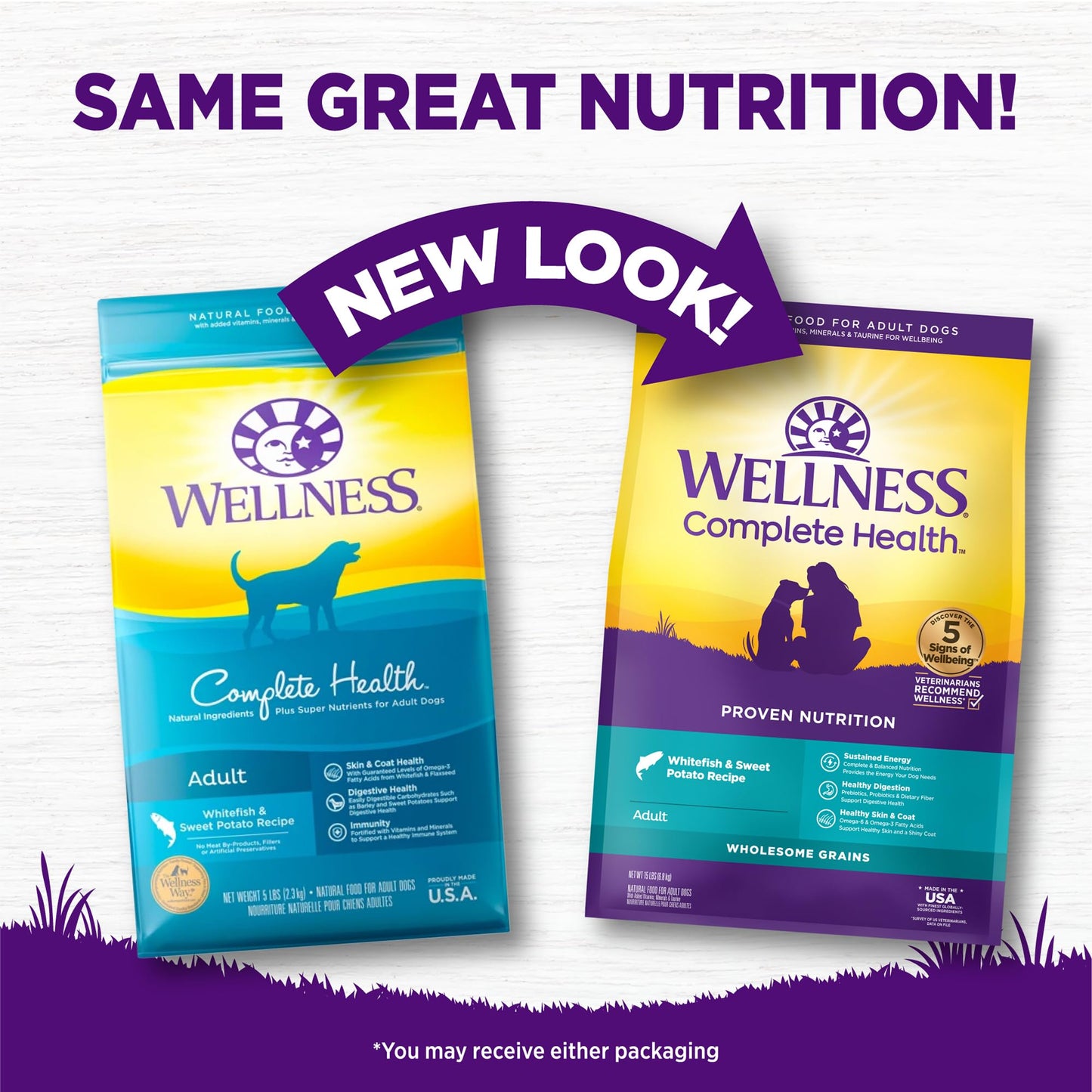 Wellness Complete Health Dry Dog Food, Wholesome Grains, Natural, Lamb & Barley Recipe, (30-Pound Bag)