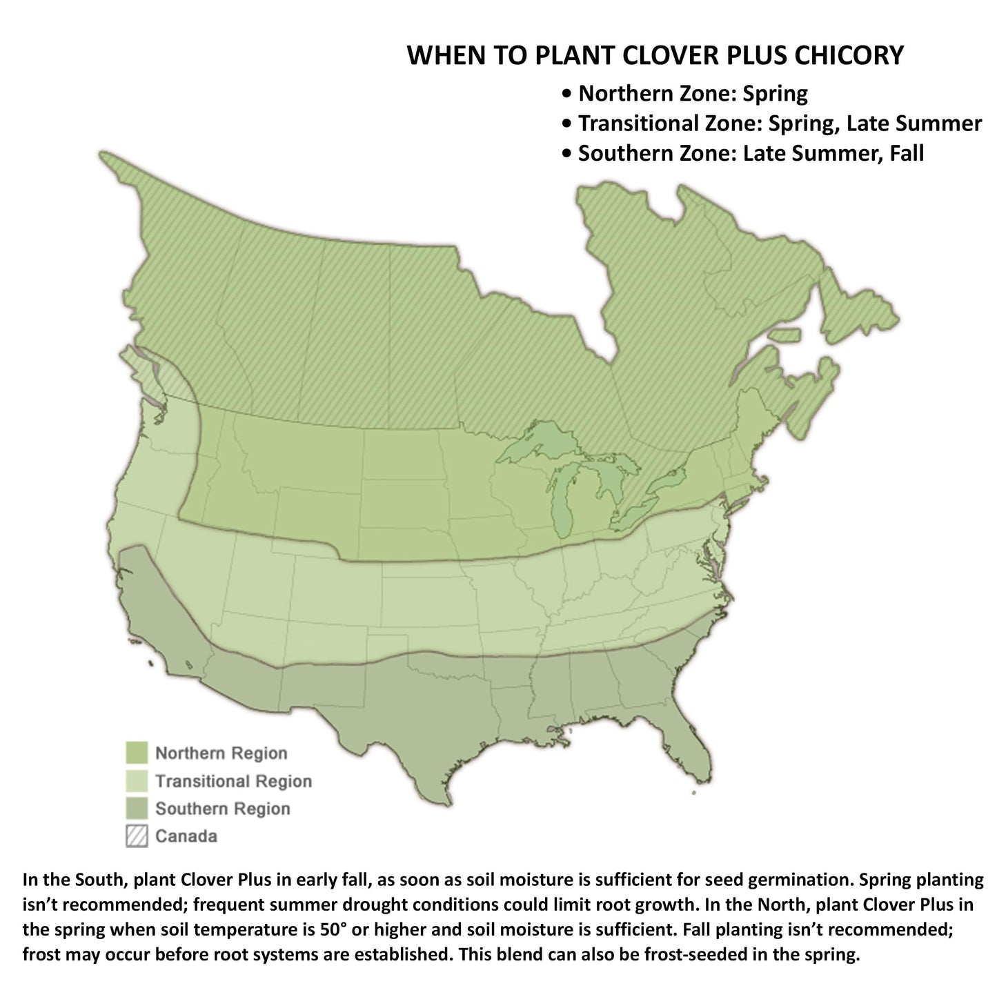 New Zealand Clover Plus Chicory Perennial Food Plot Seed, Hardy & Drought Resistant Perennial Blend for Whitetail Deer, Wild Turkey, Upland Birds, 9 lb Bag Plants 1 Acre