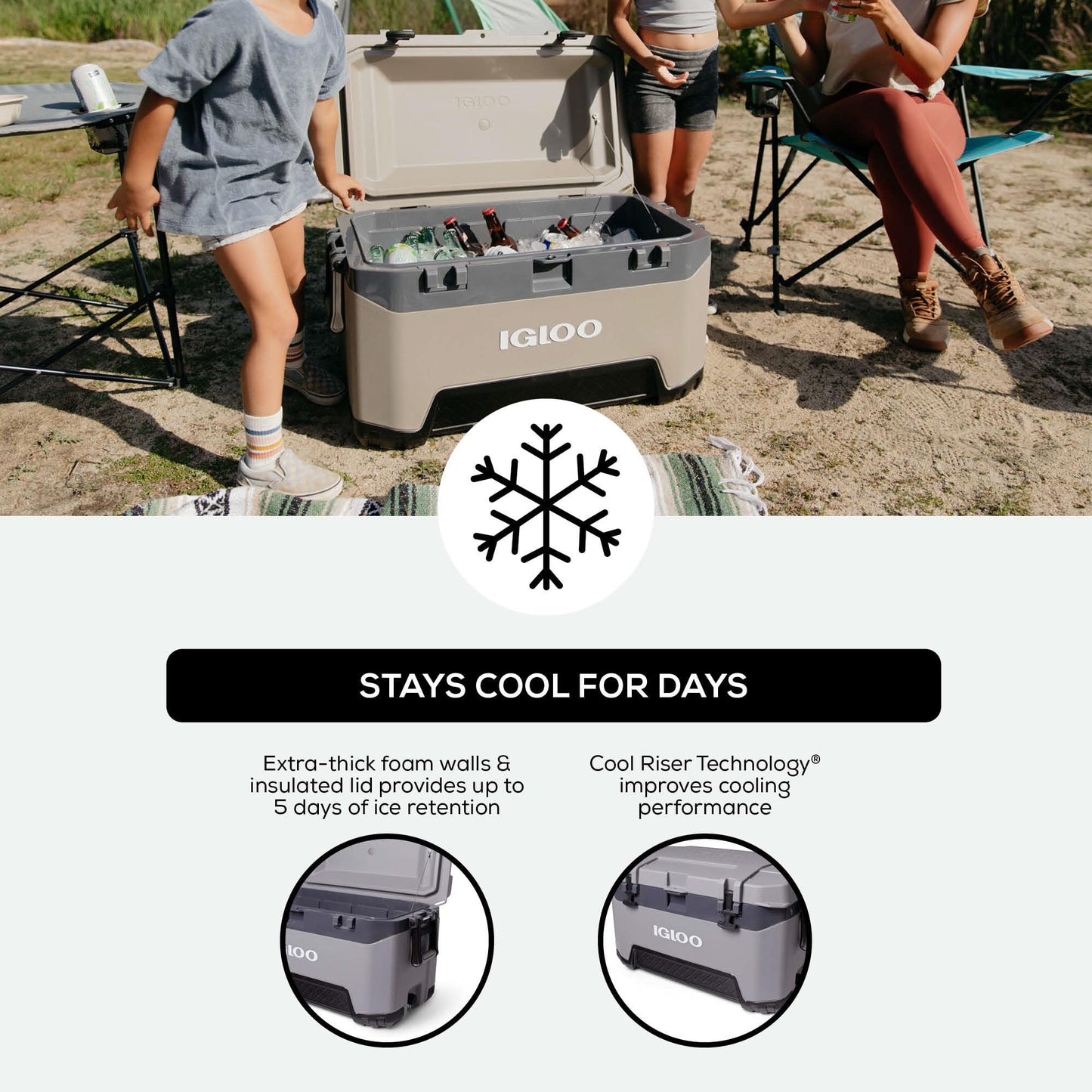 Igloo BMX Hard Coolers (25-72QT)