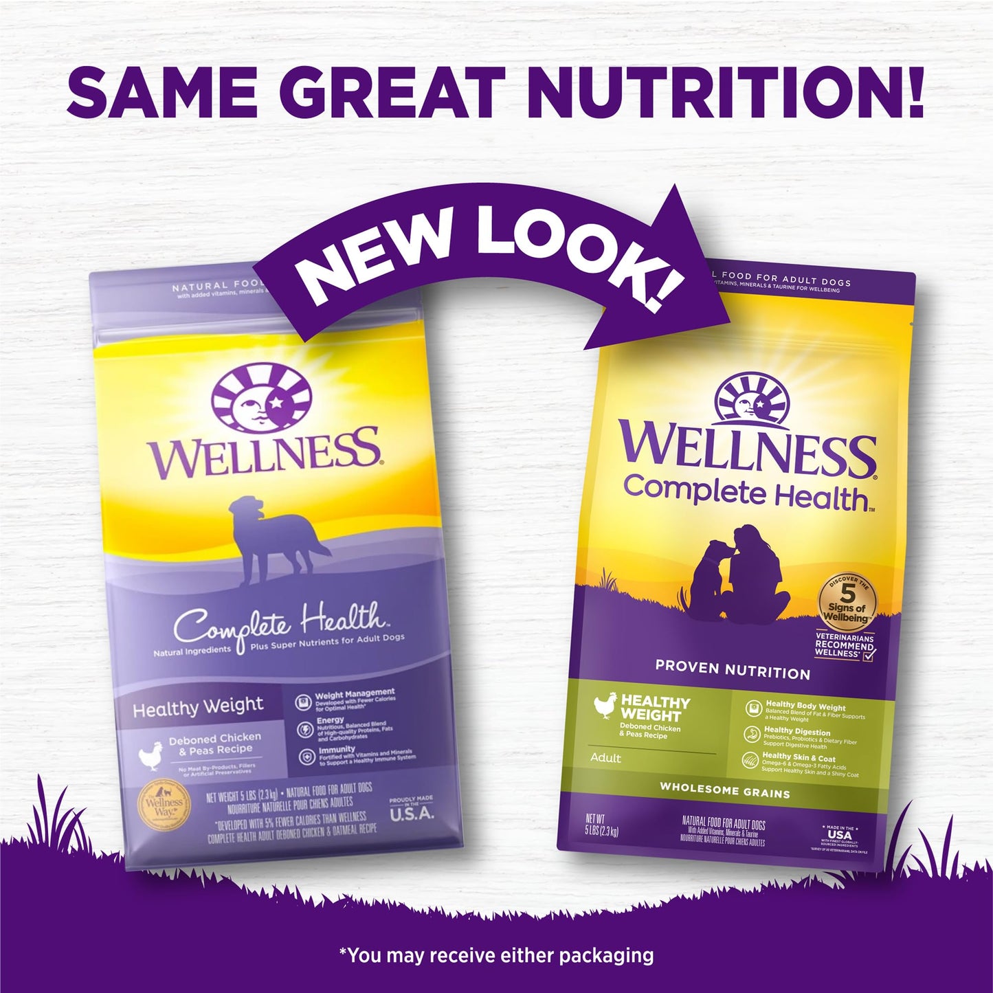 Wellness Complete Health Dry Dog Food, Wholesome Grains, Natural, Lamb & Barley Recipe, (30-Pound Bag)