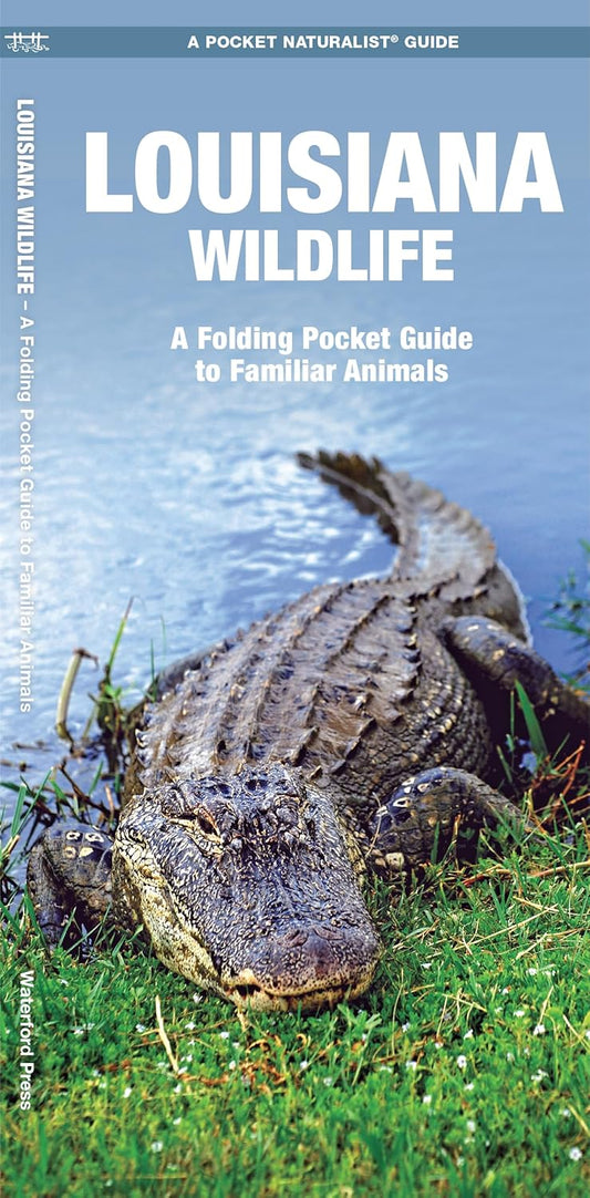 Louisiana Wildlife: A Folding Pocket Guide to Familiar Animals (Nature Observation North America)