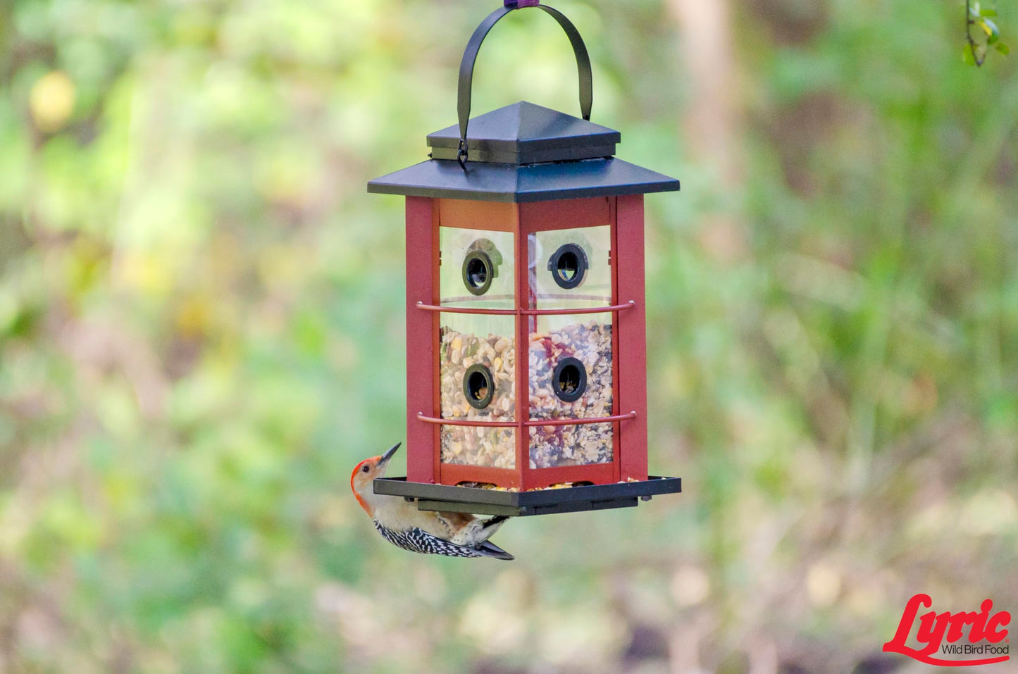 Lyric Fruit and Nut Wild Bird Seed - High Energy Wild Bird Food Mix - Attracts Woodpeckers, Chickadees & Other Songbirds - 20 lb bag