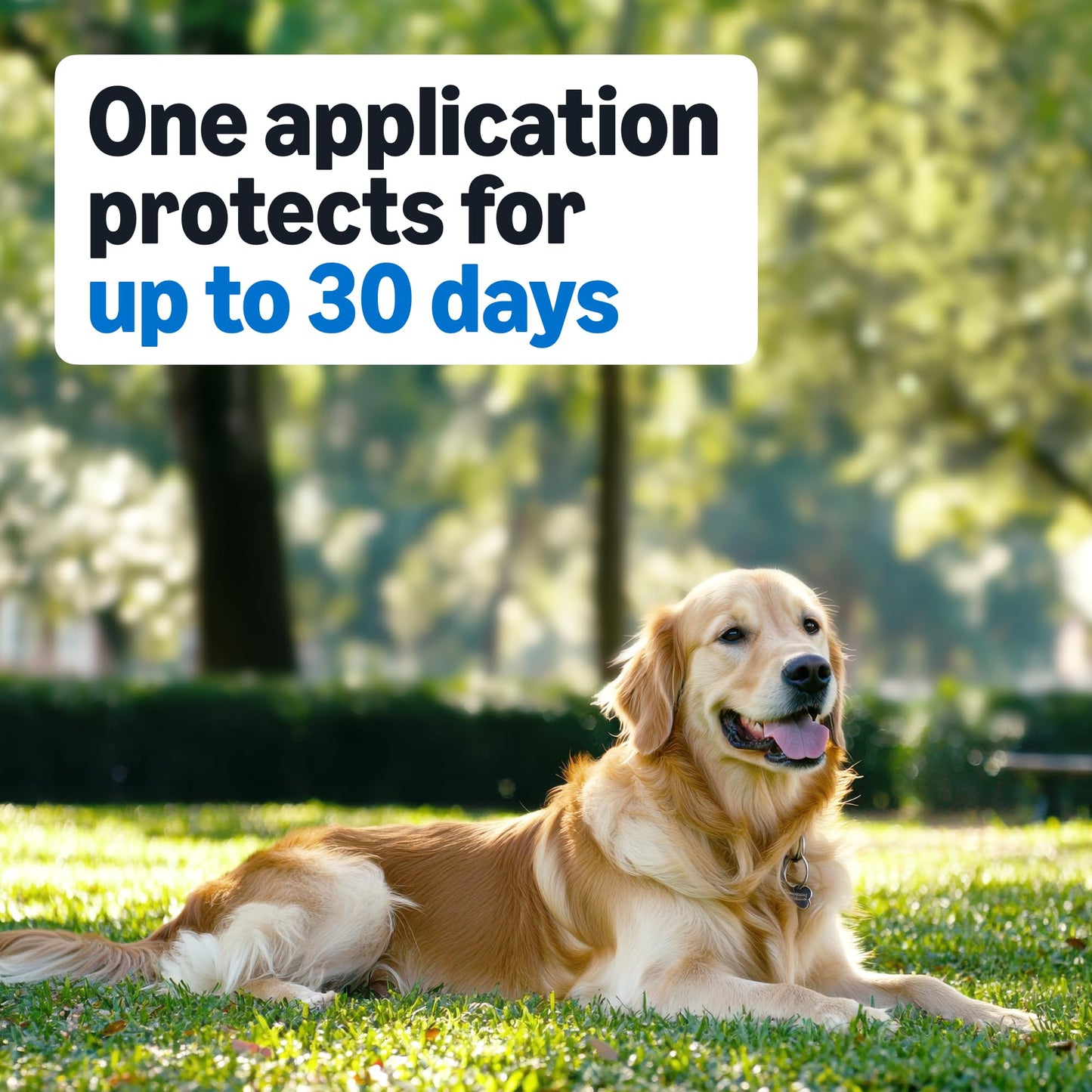Amazon Basics Preventative Flea and Tick Topical Treatment for Dogs, Medium Dog (23-44 lbs), Fast Acting and Long Lasting, 3 Counts, Packaging May Vary