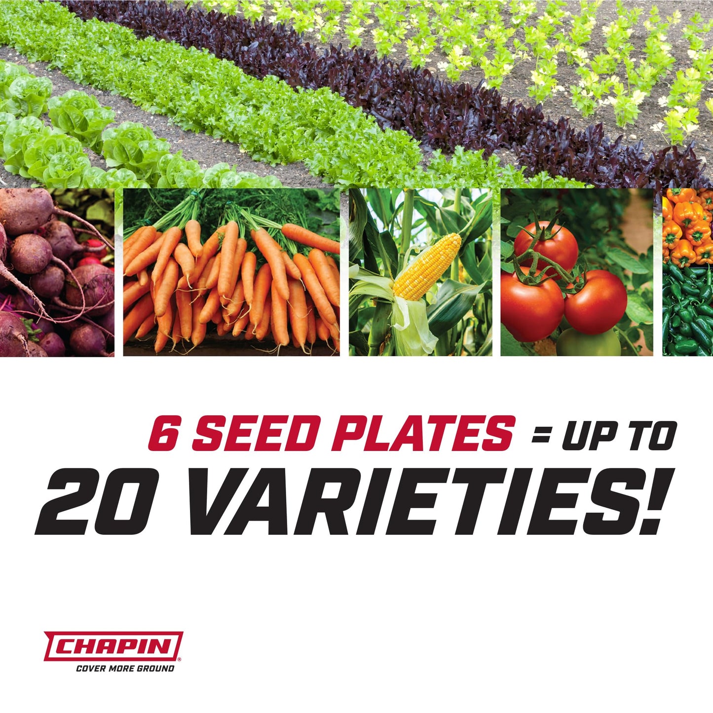 Chapin 8701B Garden Push Seeder Planter with 6 Seed Plates for up to 20 Varieties of Seeds, Zinc Plow Blade, Row Marker, Powder Coated Steel Frame, Red/Black