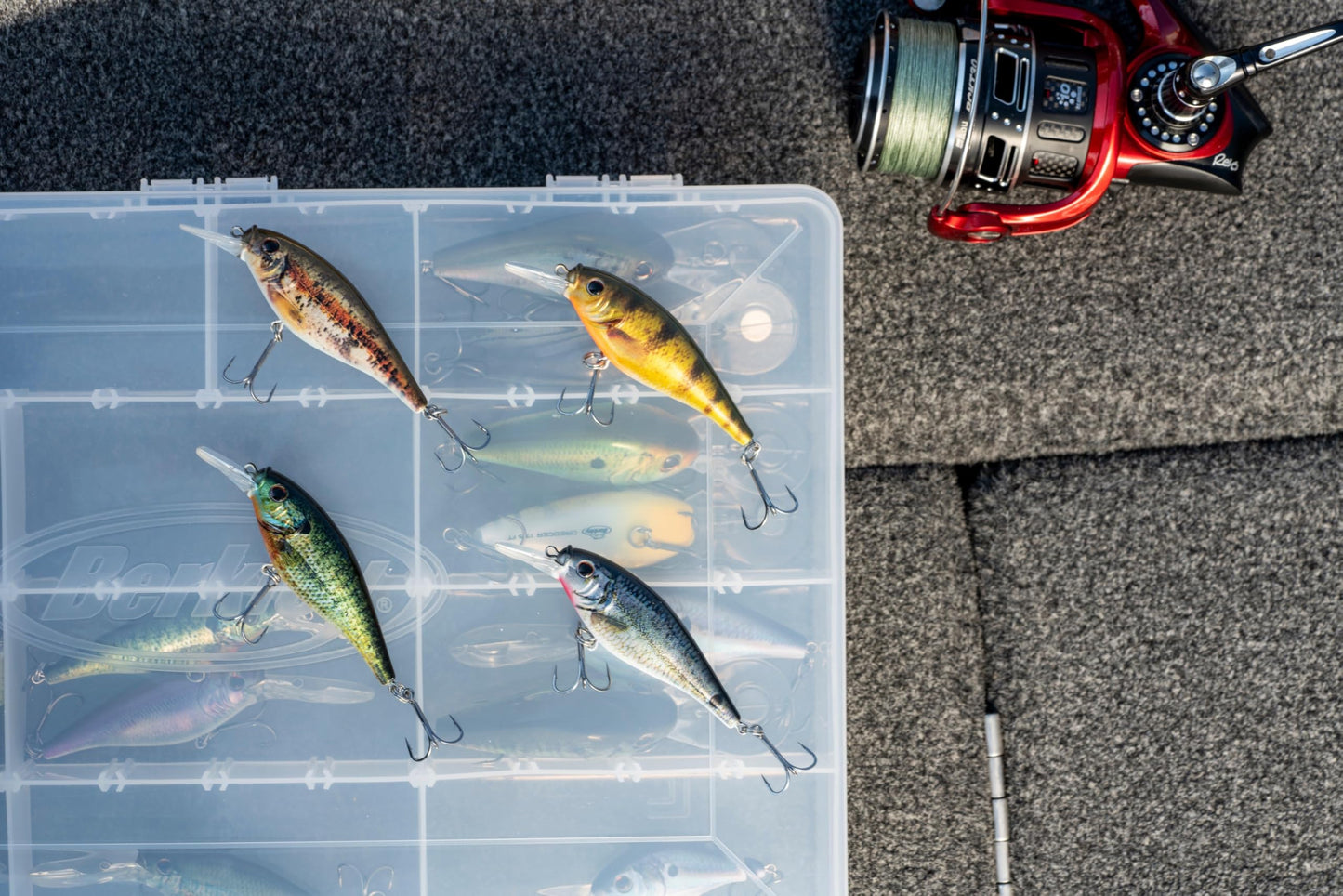 Berkley Flicker Shad Shallow Fishing Lure, HD Bluegill, 1/6 oz, 2in | 5cm Crankbaits, Size, Profile and Dive Depth Imitates Real Shad, Equipped with Fusion19 Hook