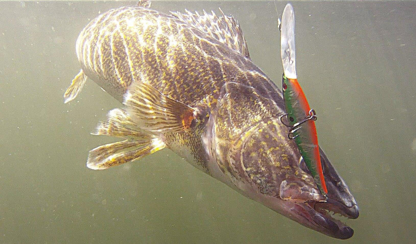 Berkley Flicker Minnow Fishing Hard Bait
