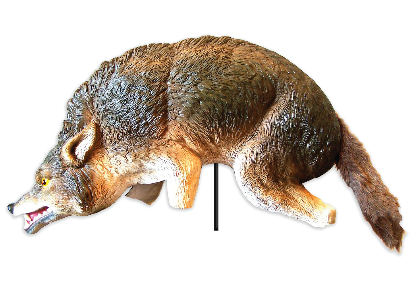 Bird-X 3D Coyote Decoy, Lifelike Predator Replica, Coyote Decoy with Moving Tail and Realistic Markings, Easy to Install, Covers up to 1 Acre of Land, 32"x8"x30"