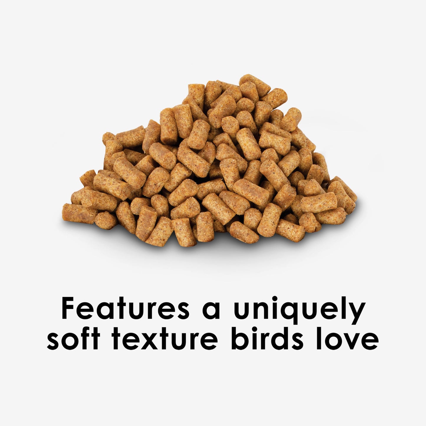 Kaytee Nutri Soft Pet Parrot & Conure Bird Food, 3 Pound