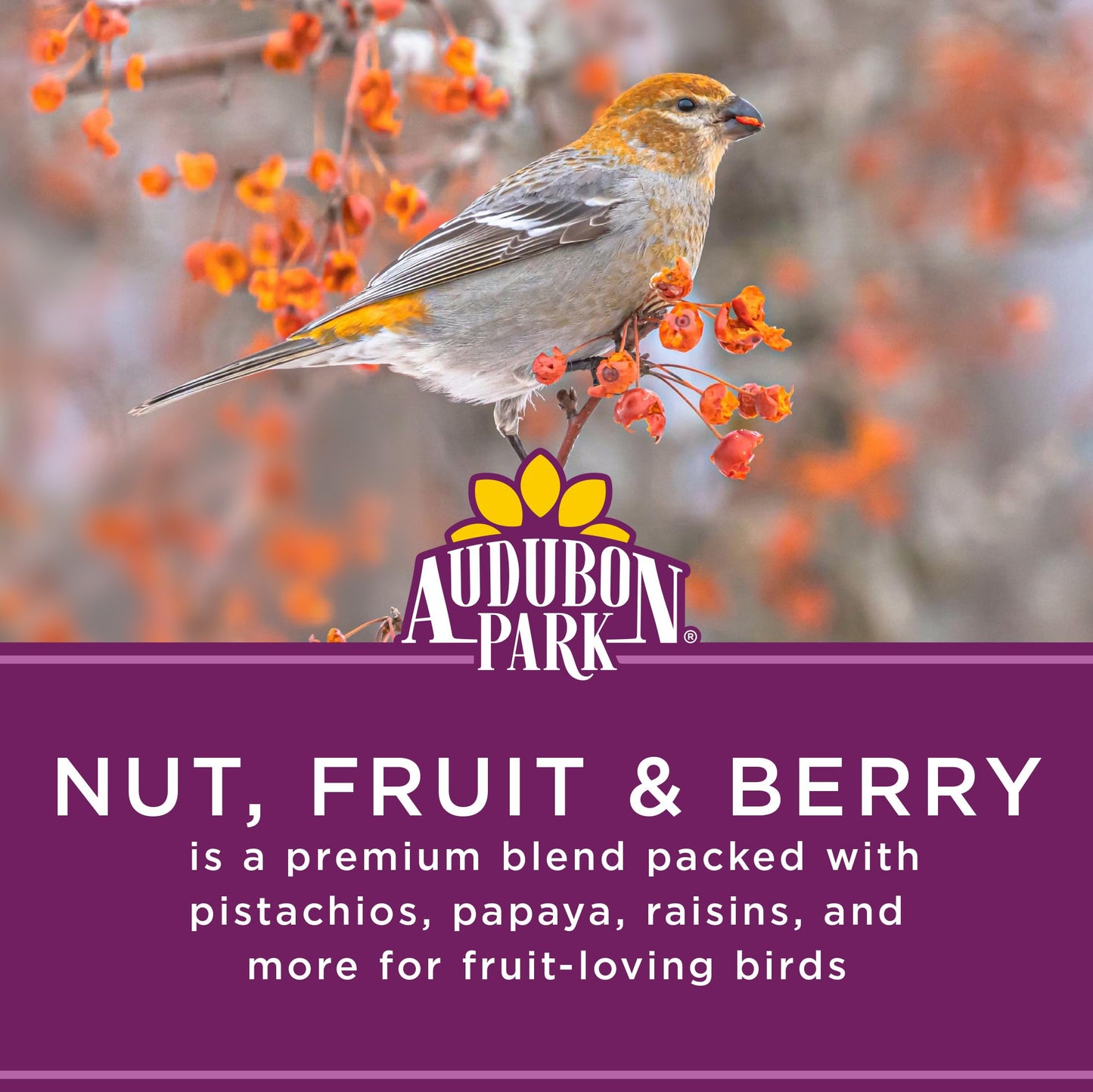 Audubon Park Nut & Fruit Wild Bird Seed – 15 lb. Premium Blend with Sunflower Seeds, Peanuts, Safflower & Dried Fruit – Bird Food for Outside Feeders