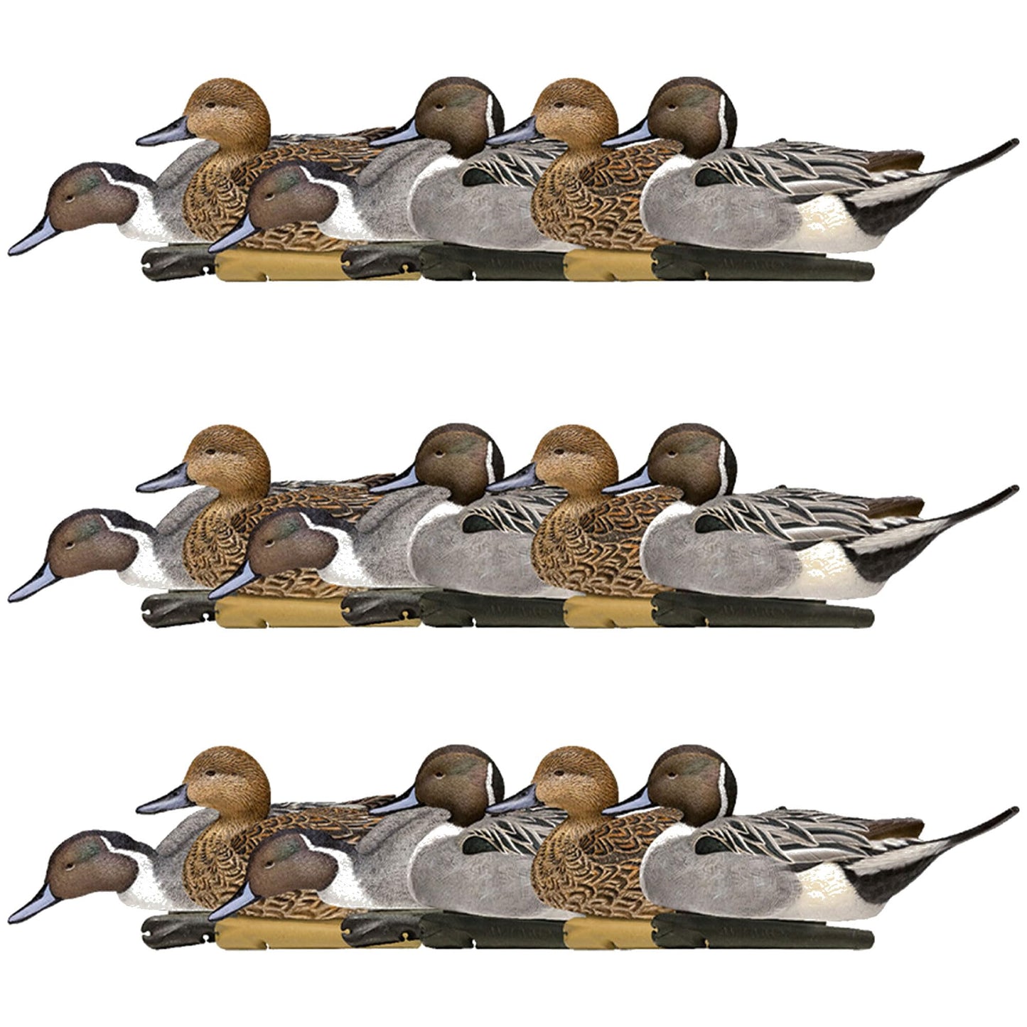 Avian X Topflight Pintail Decoys, Rugged Realistic Floating Duck Decoys for Hunting, Weight-Forward Swim Keel