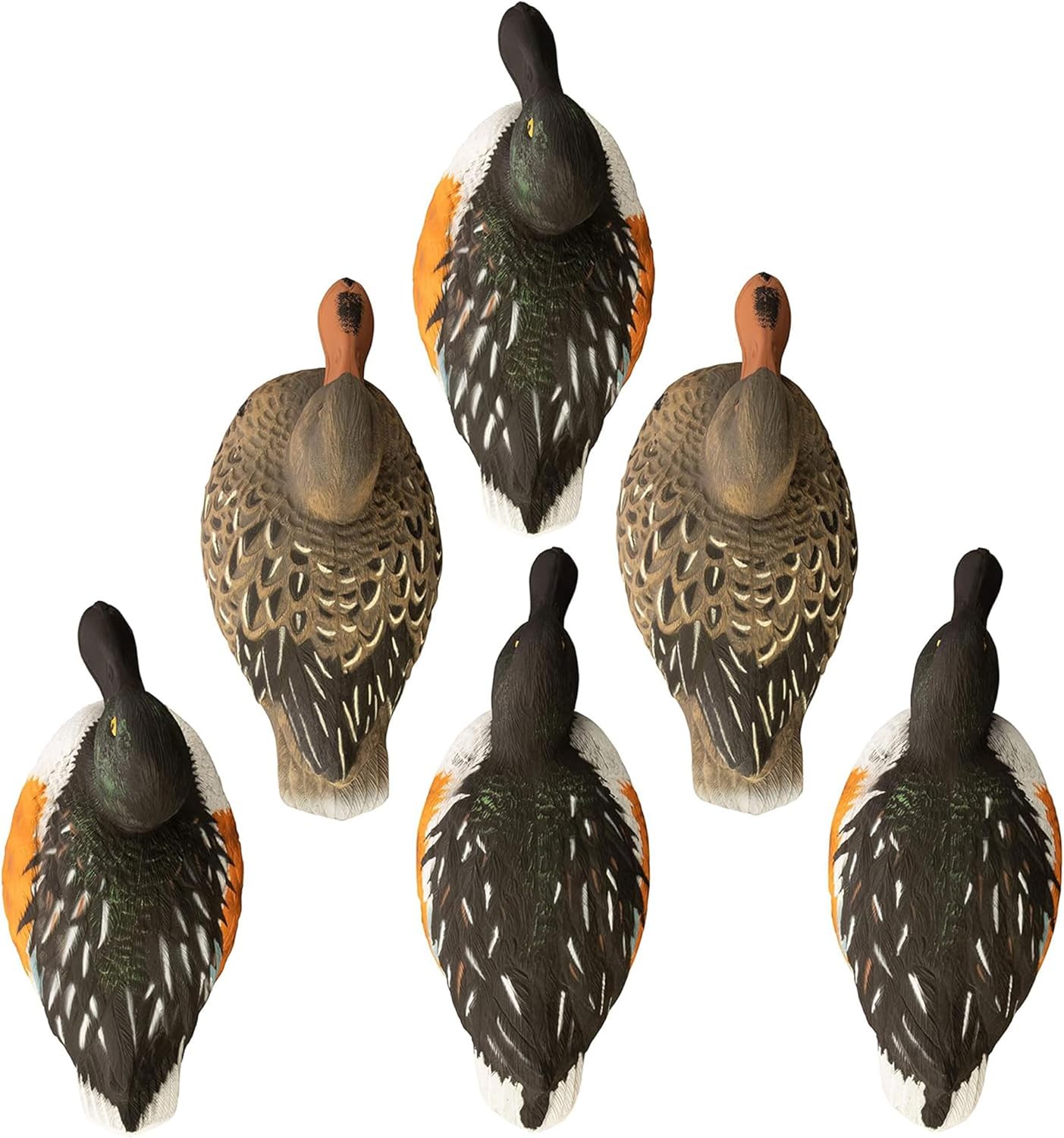 Higdon Outdoors Standard Shoveler Duck Decoys, Foam-Filled