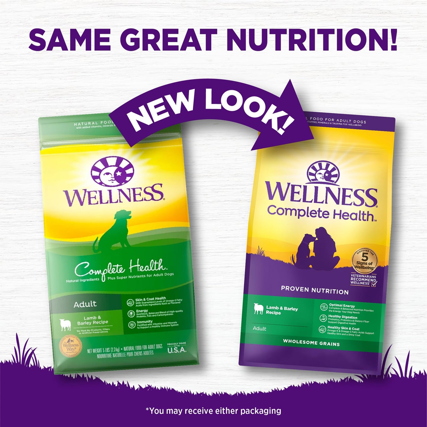 Wellness Complete Health Dry Dog Food, Wholesome Grains, Natural, Lamb & Barley Recipe, (30-Pound Bag)