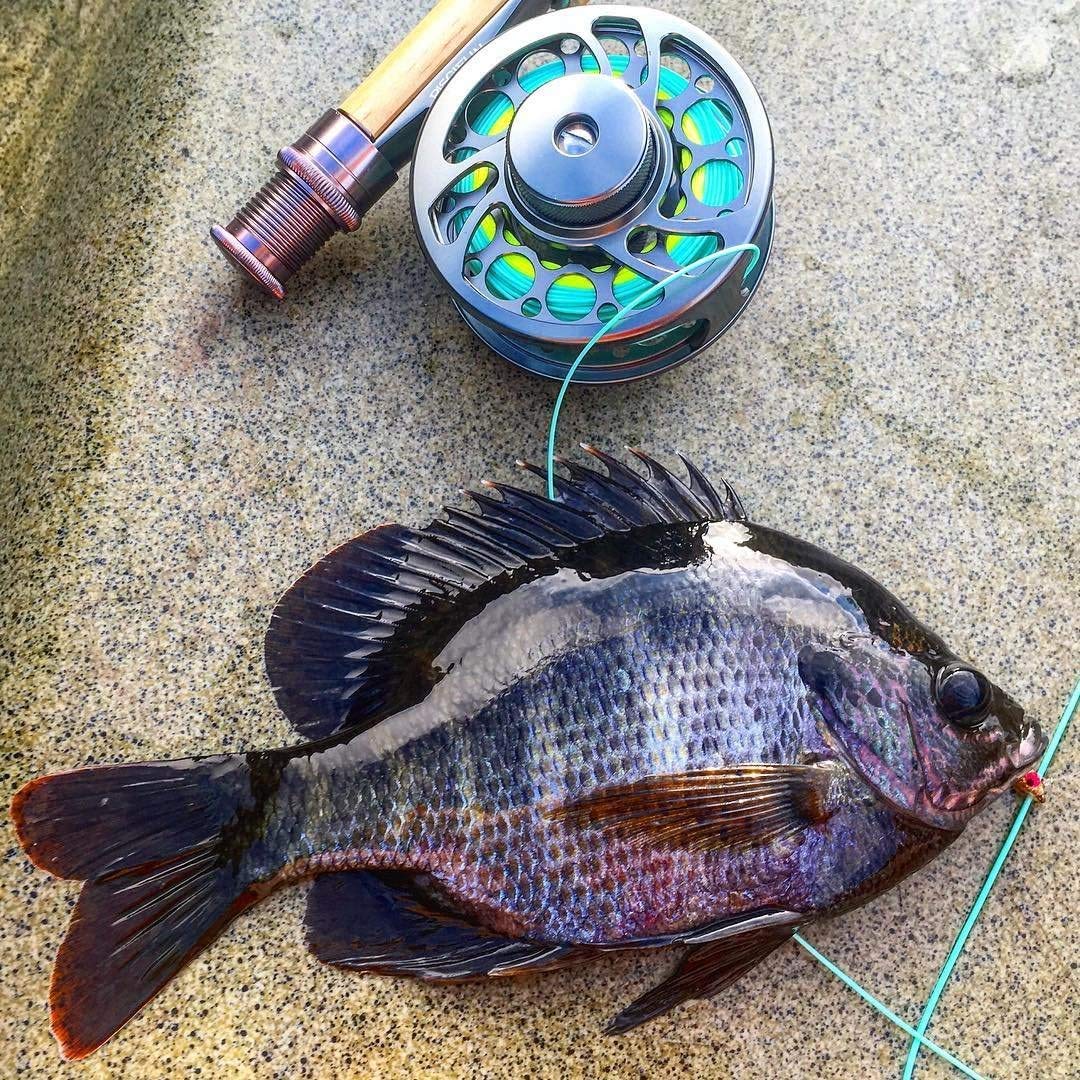 Piscifun Sword Fly Fishing Reel, CNC-Machined Aluminum Alloy Fly Reel, 3/4, 5/6, 7/8, 9/10 Weight, Black, Gunmetal, Space Gray