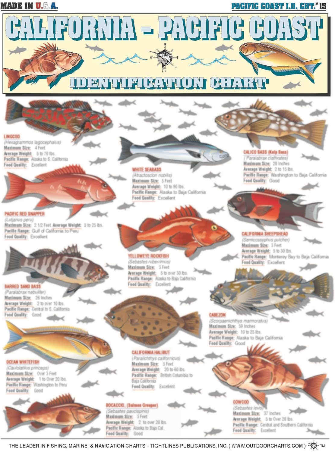 California to Pacific Coast Fish Identification #15 - Waterproof Quick Reference Guide | Portable & Built to Last | Double-Sided & Easy to Read | (Size, Weight, Location, Food Quality, and Coloring)