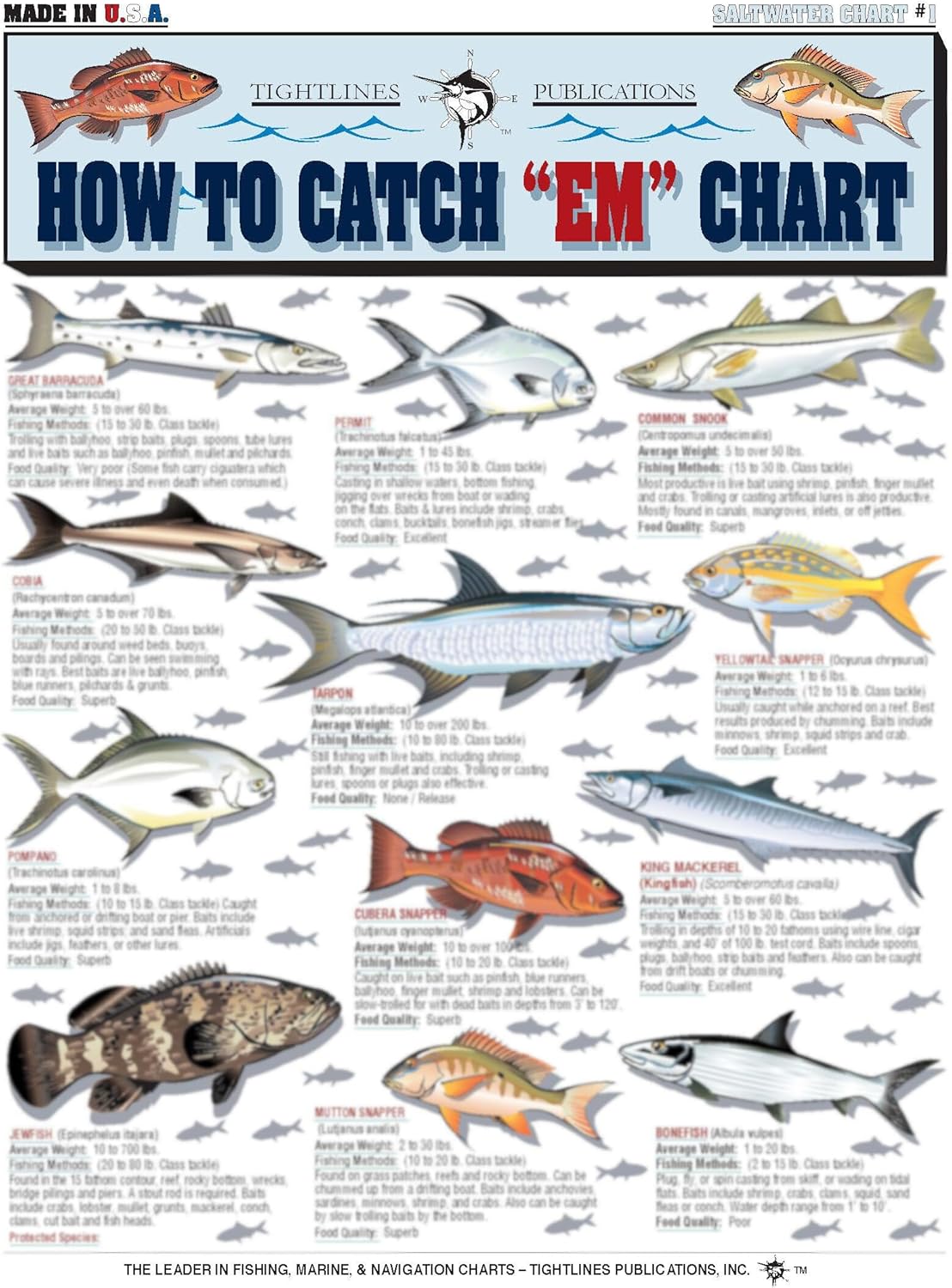 How to Catch 'Em Saltwater Fish Identification #1 - Waterproof Quick Reference Guide | Portable & Built to Last | Double-Sided & Easy to Read | (South Atlantic, Gulf of Mexico, Bahamas, and Caribbean)