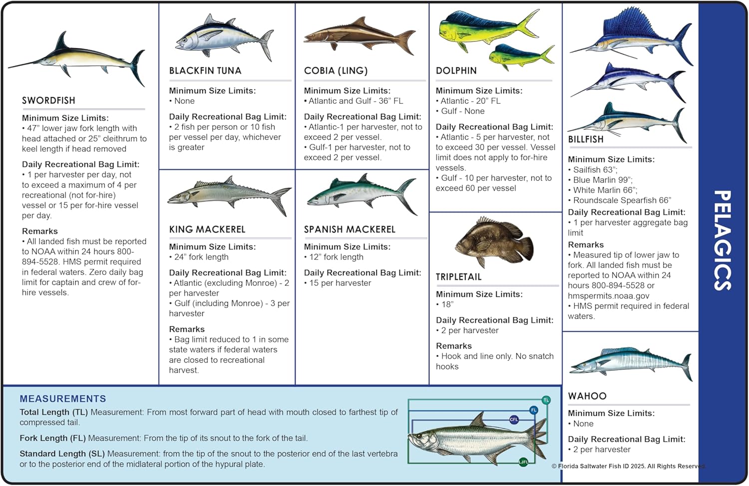 Florida Saltwater Fishing Guide. 100% Waterproof Fish Identification B ...