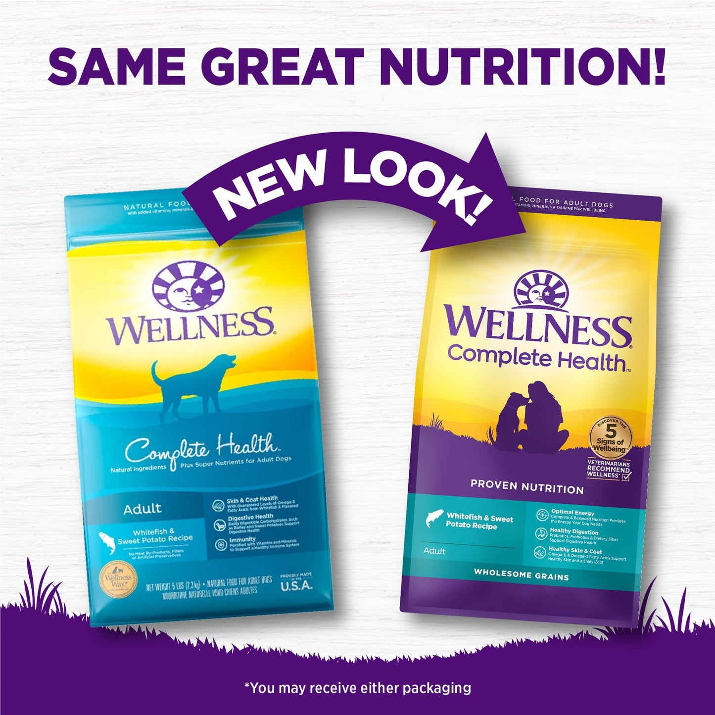 Wellness Complete Health Dry Dog Food, Wholesome Grains, Natural, Lamb & Barley Recipe, (30-Pound Bag)