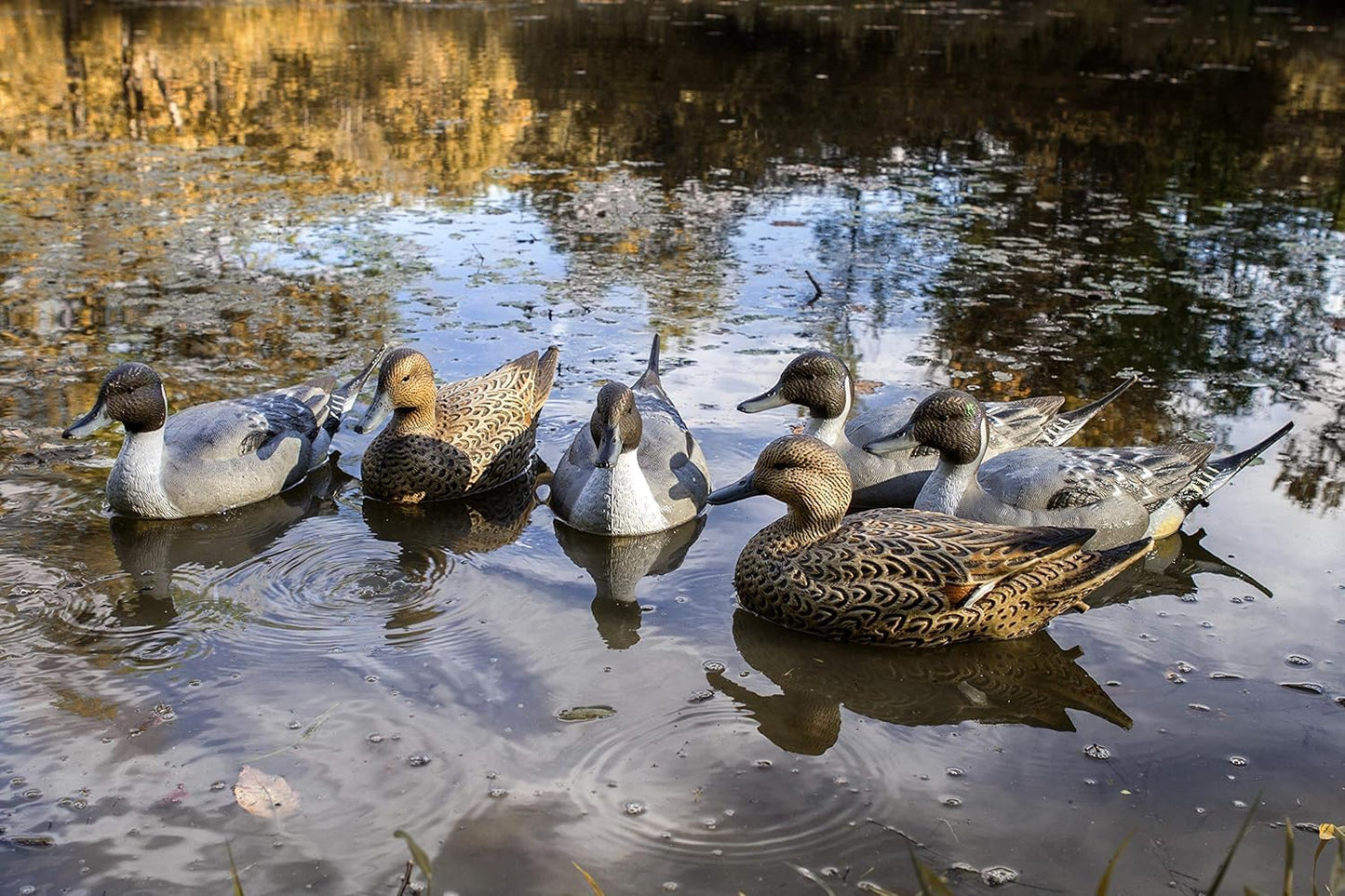 Flambeau Outdoors 8022SUV Storm Front 2 Pintail Decoys, Classic Floaters - 6-Pack