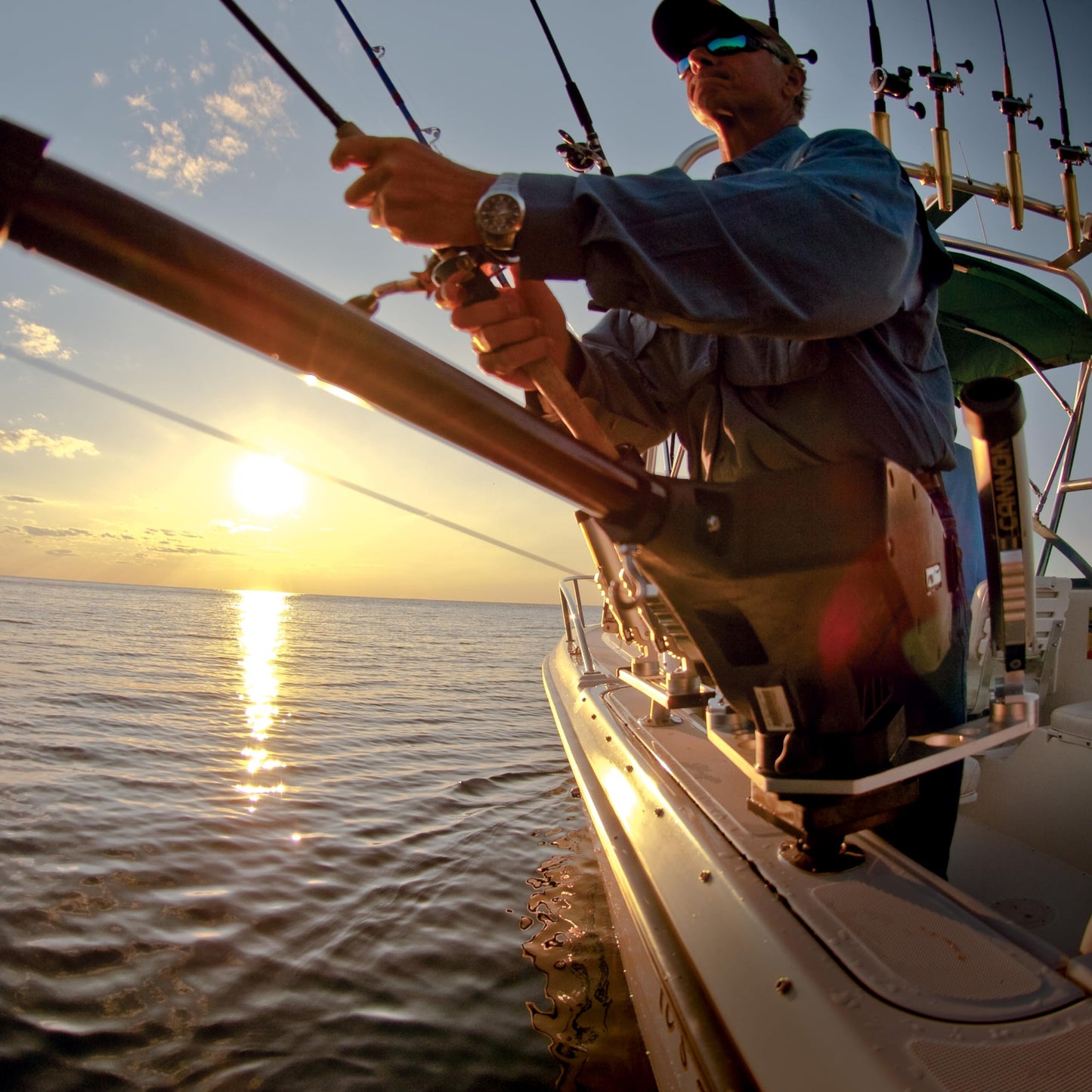 Cannon Magnum Series Electric Downriggers