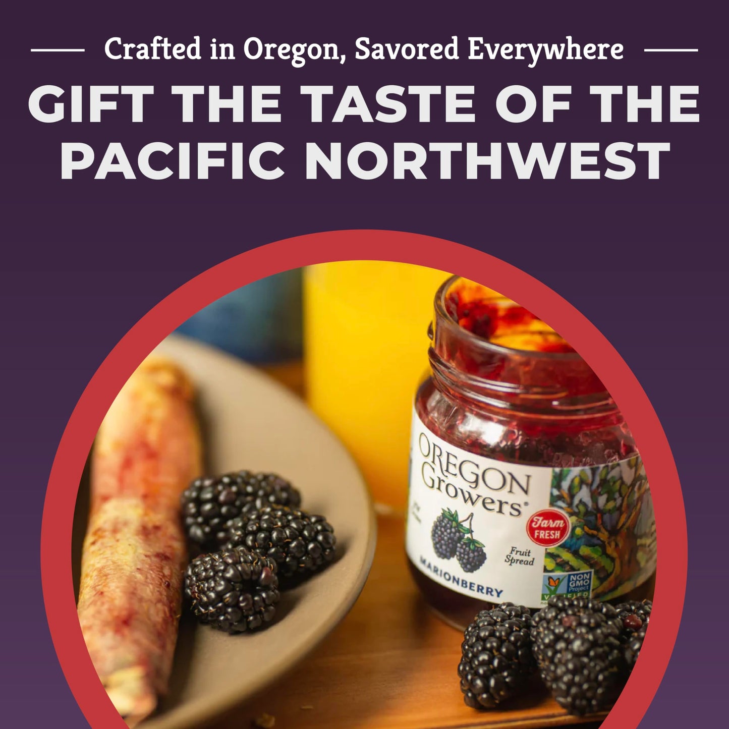 Oregon Growers, Marionberry Jam, Strawberry Jam, & Red Raspberry Jam Variety Pack - Marionberry Preserves, Strawberry Preserves, Red Raspberry Preserves, Organic Jelly - 12 Oz Each (Pack of 3)