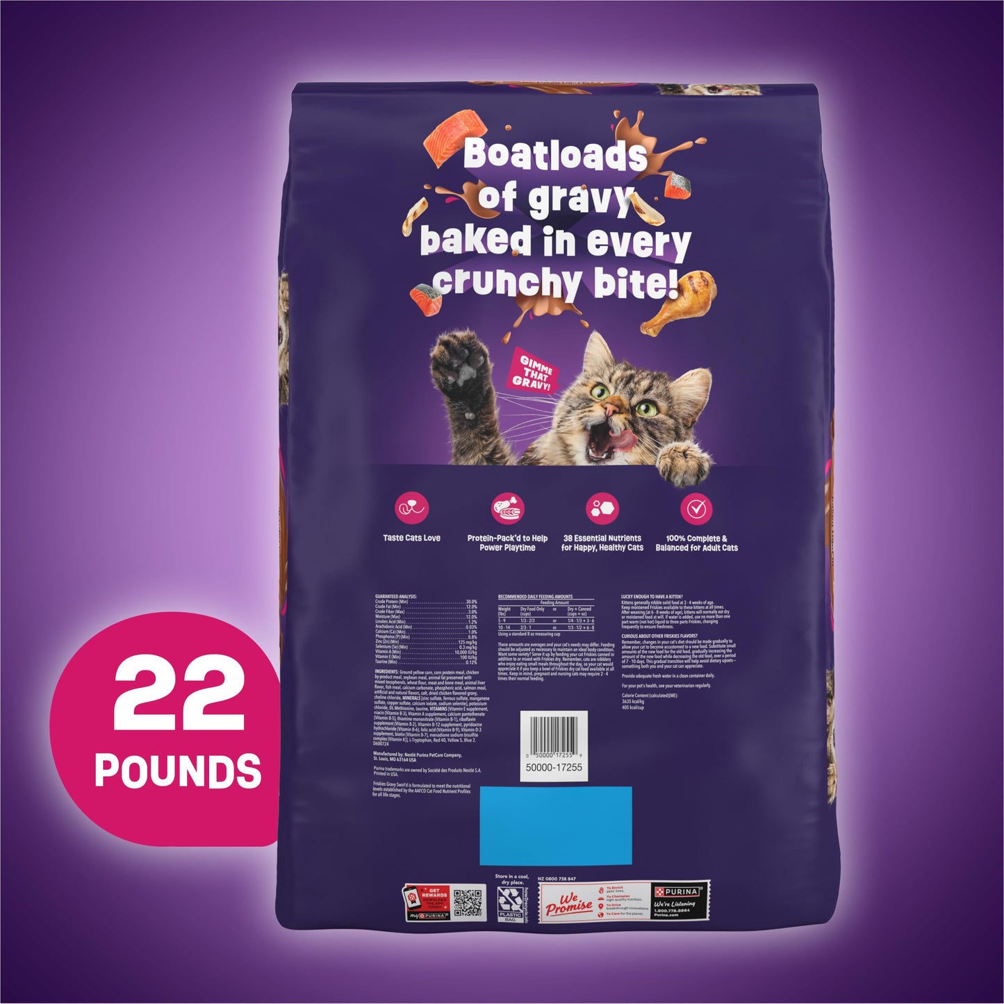 Purina Friskies Dry Cat Food Gravy Swirl'd With Flavors of Chicken, Salmon and Gravy - 22 lb. Bag