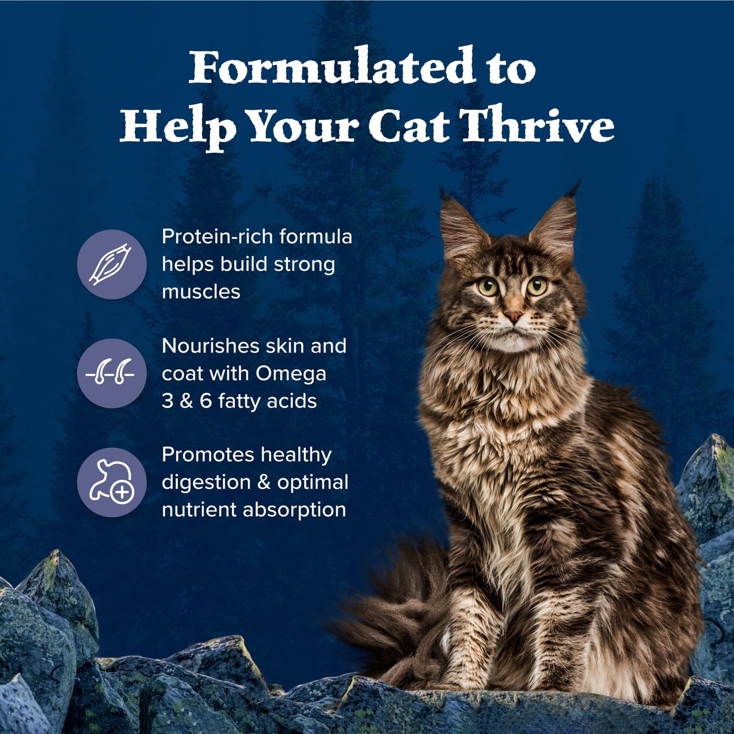 Blue Buffalo Wilderness Natural Adult Dry Cat Food, High-Protein and Grain-Free Diet, Supports Healthy Muscle Development and a Healthy Immune System, Chicken, 12-lb. Bag