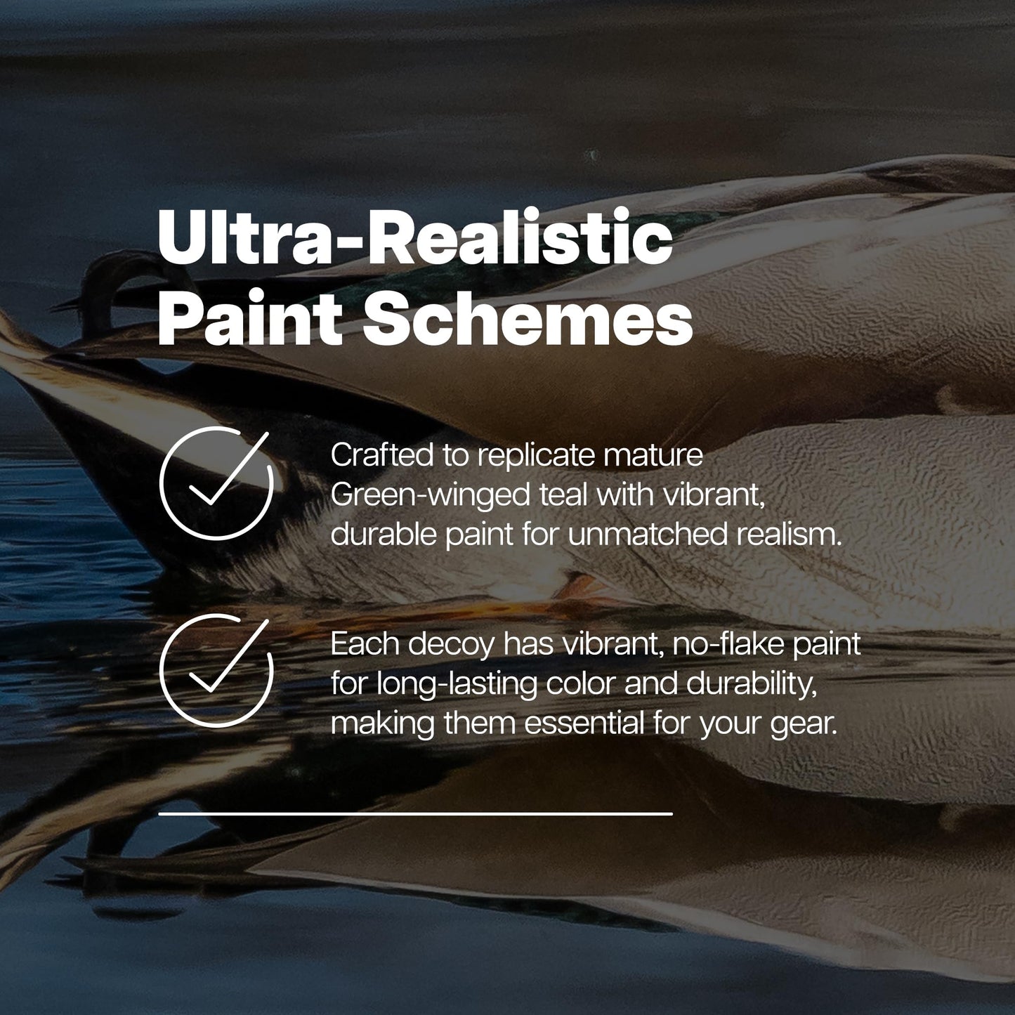 Avian X Topflight Green-Winged Teal Decoys, Realistic Floating Duck Decoys for Hunting, Weight-Forward Swim Keel