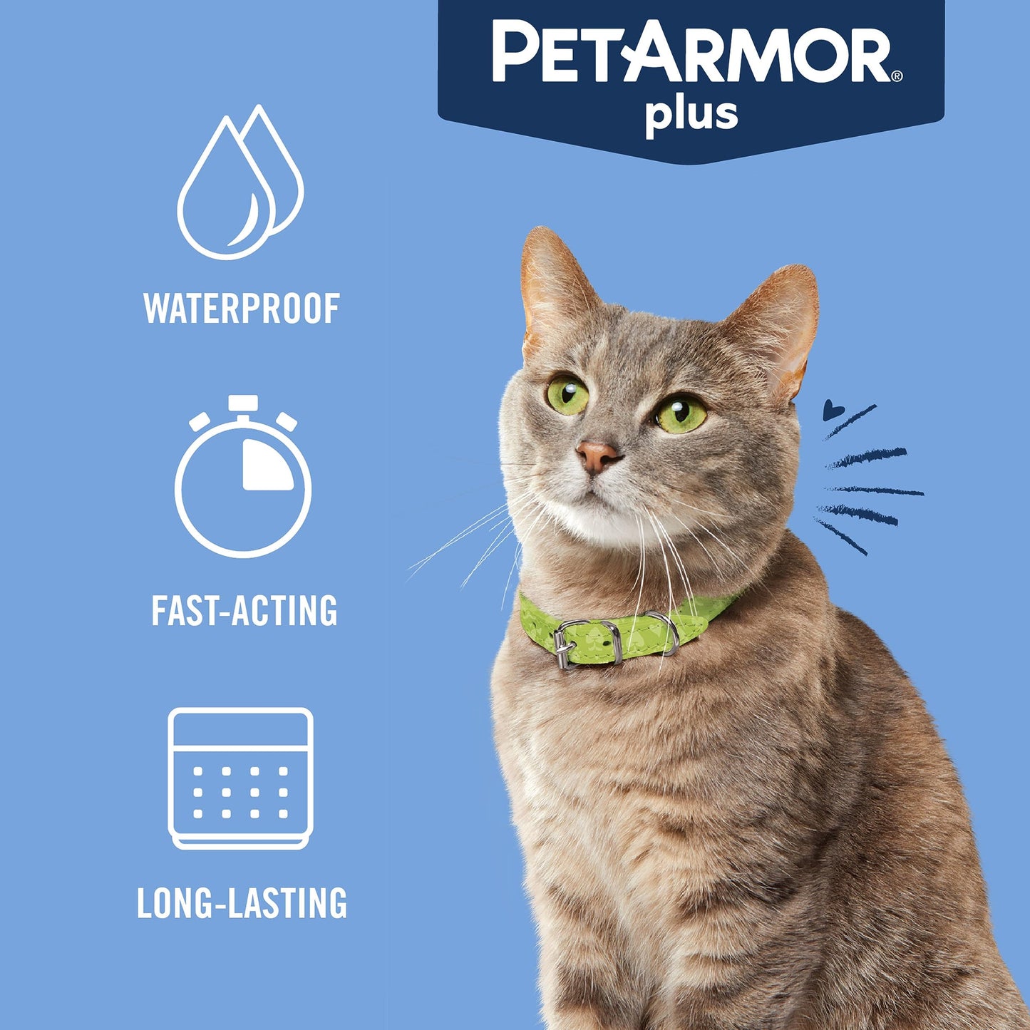 PetArmor Plus Flea and Tick Prevention for Cats, Cat Flea and Tick Treatment, 6 Dose, Waterproof Topical, Fast Acting, Cats Over 1.5 lbs
