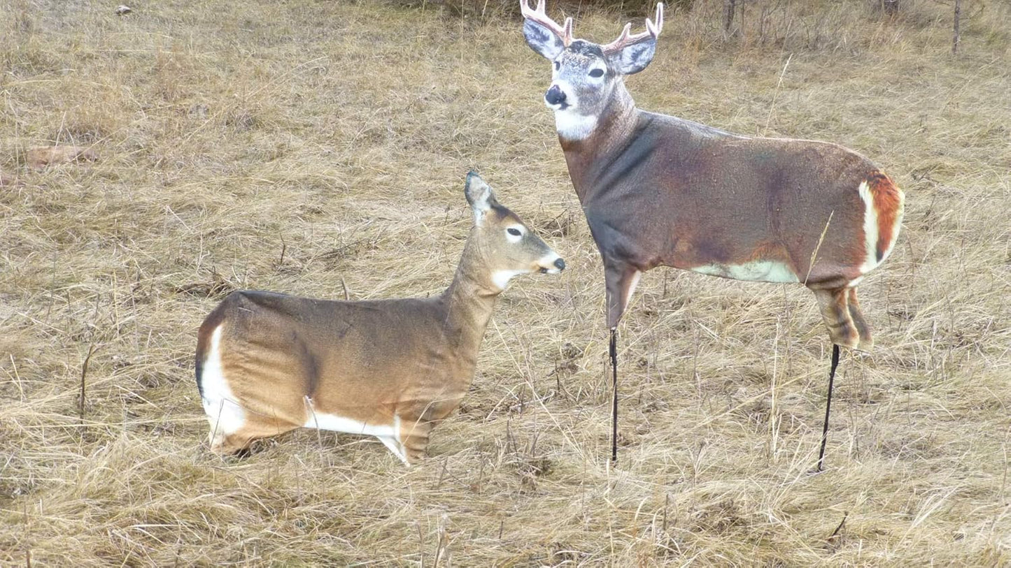 MONTANA DECOY 23 Dreamy Doe Whitetail Decoy, Brown