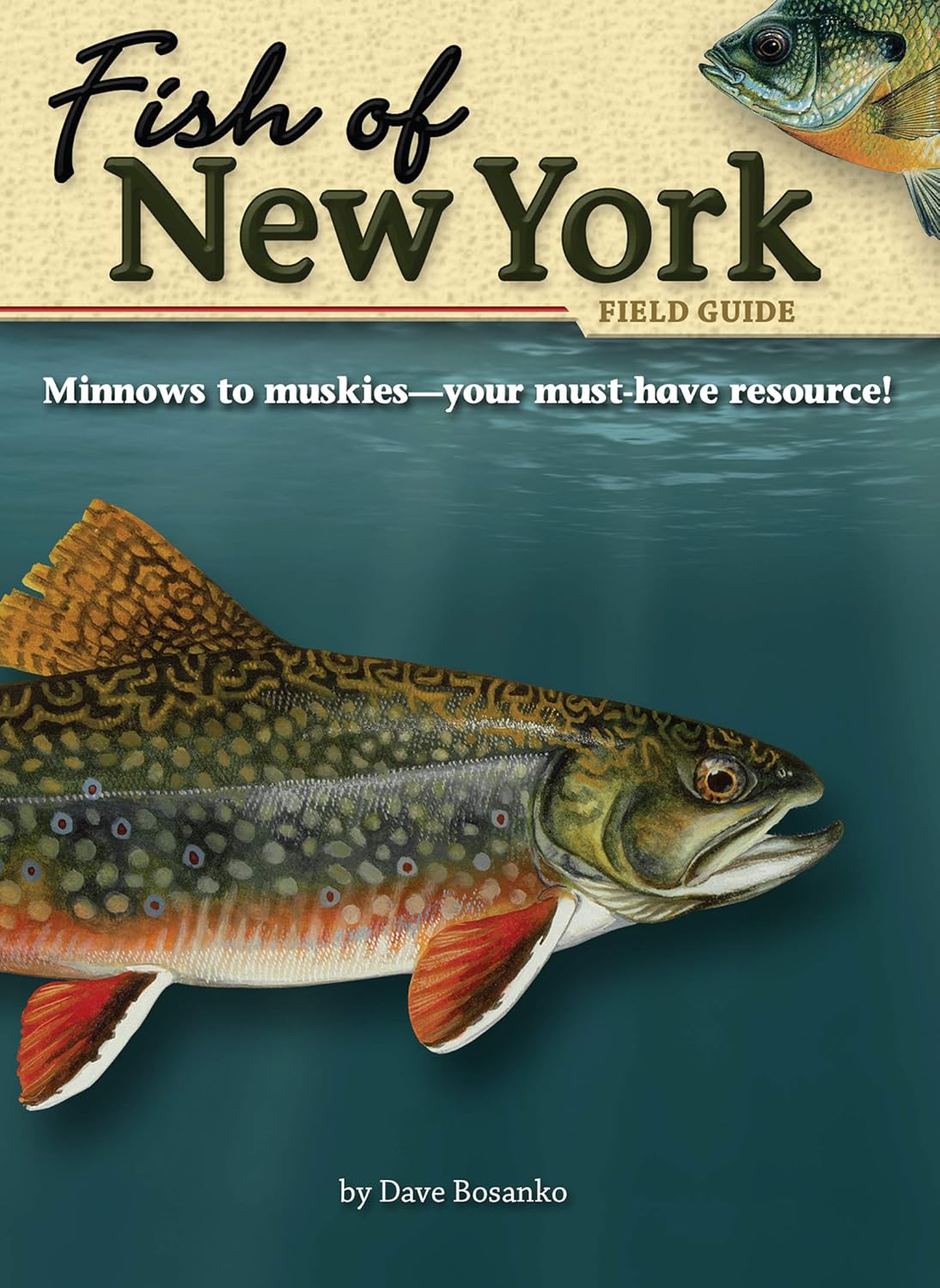 Fish of New York Field Guide (Fish Identification Guides) – LENONLURES.COM
