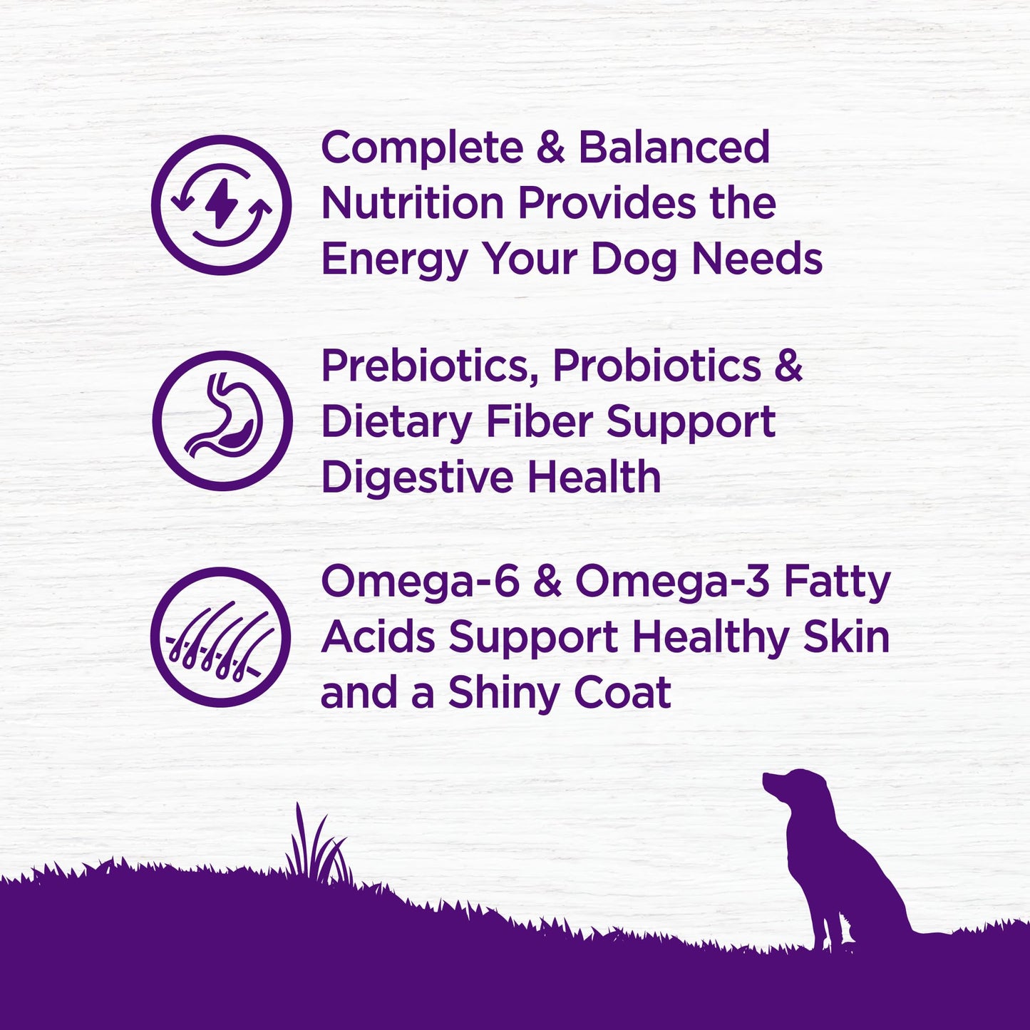 Wellness Complete Health Dry Dog Food, Wholesome Grains, Natural, Lamb & Barley Recipe, (30-Pound Bag)