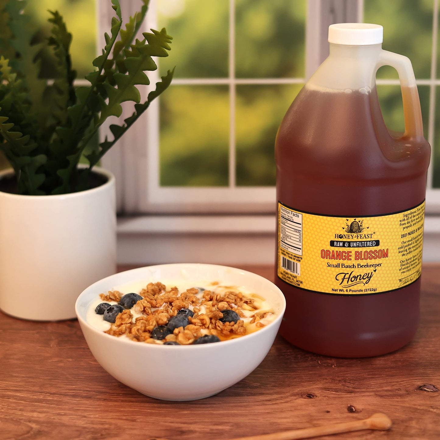 HONEY FEAST Wildflower Honey - 6 Pounds (1/2 Gallon) Bulk Honey, All Natural, Unfiltered, Unheated Honey, Perfect for Sweetening & Baking