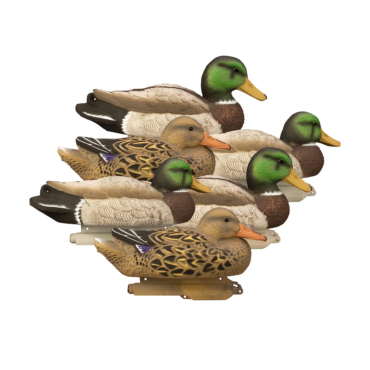 Higdon Outdoors Standard Mallard Duck Decoys | Ultra Realistic Drake & Hen Decoys for Waterfowl Hunting | Foam-Filled & Non-Foam-Filled | 12pk & 6pk Available