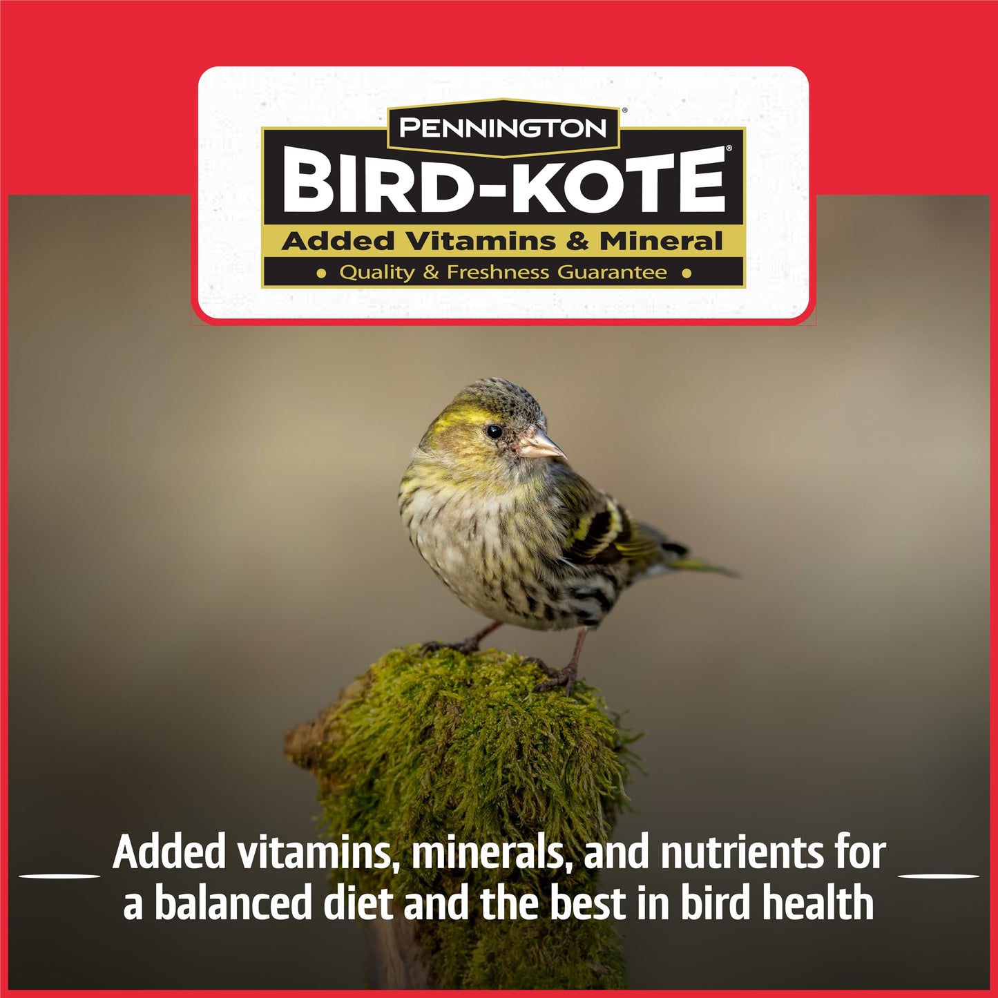 Pennington Pride Songbird Nut & Fruit Blend, Wild Bird Seed for Outside Feeders, Advanced Nutrition Formula for Bird Health, 10-lb. Bag