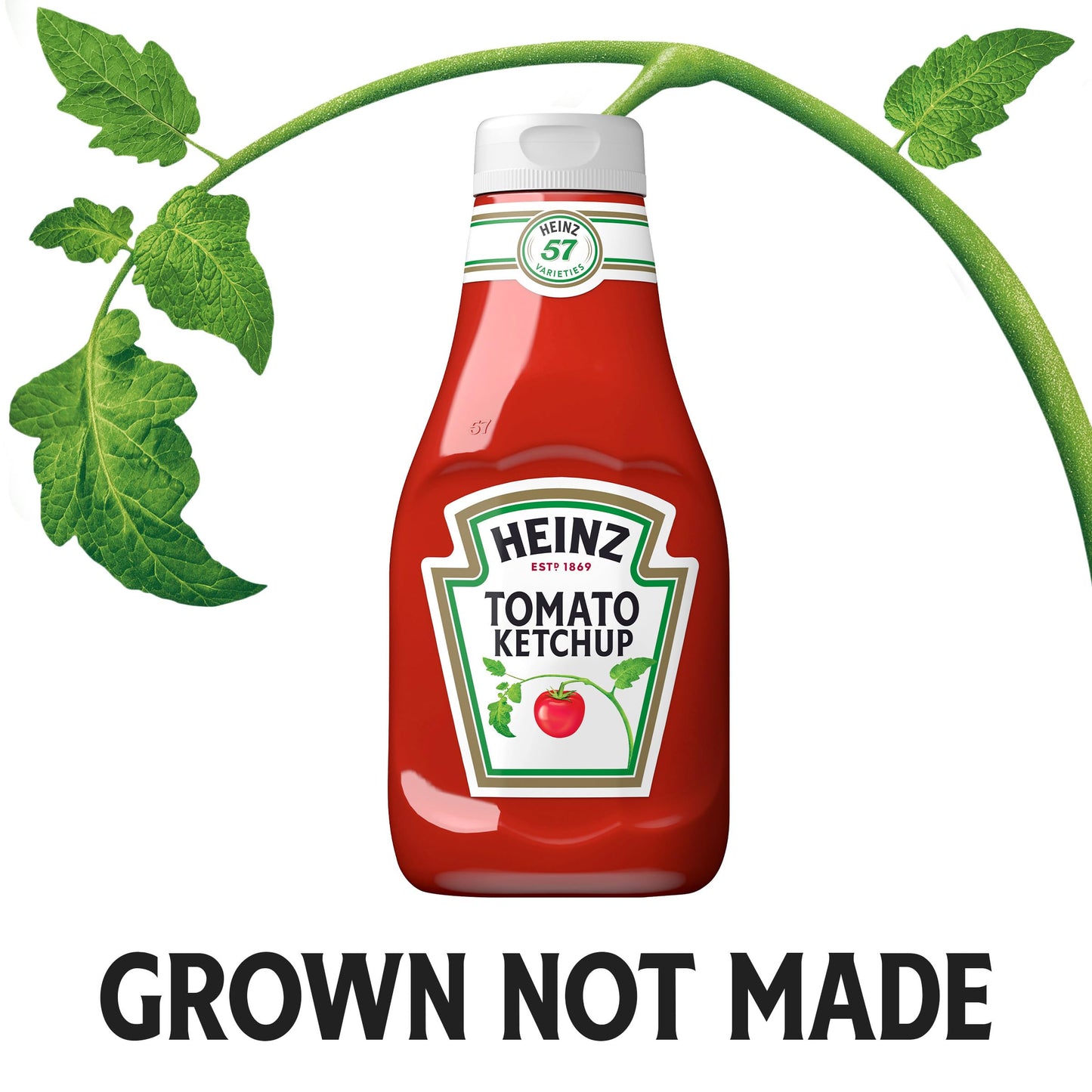 Heinz Ketchup Forever Full Inverted Bottle (20 oz, Pack of 12)