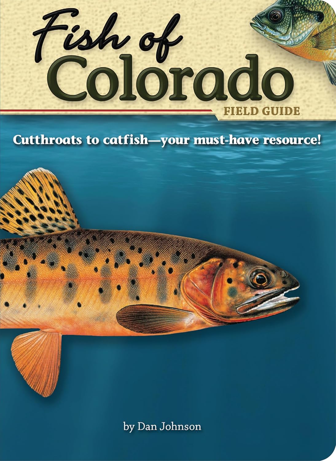Fish of Colorado Field Guide (Fish Identification Guides) – LENONLURES.COM