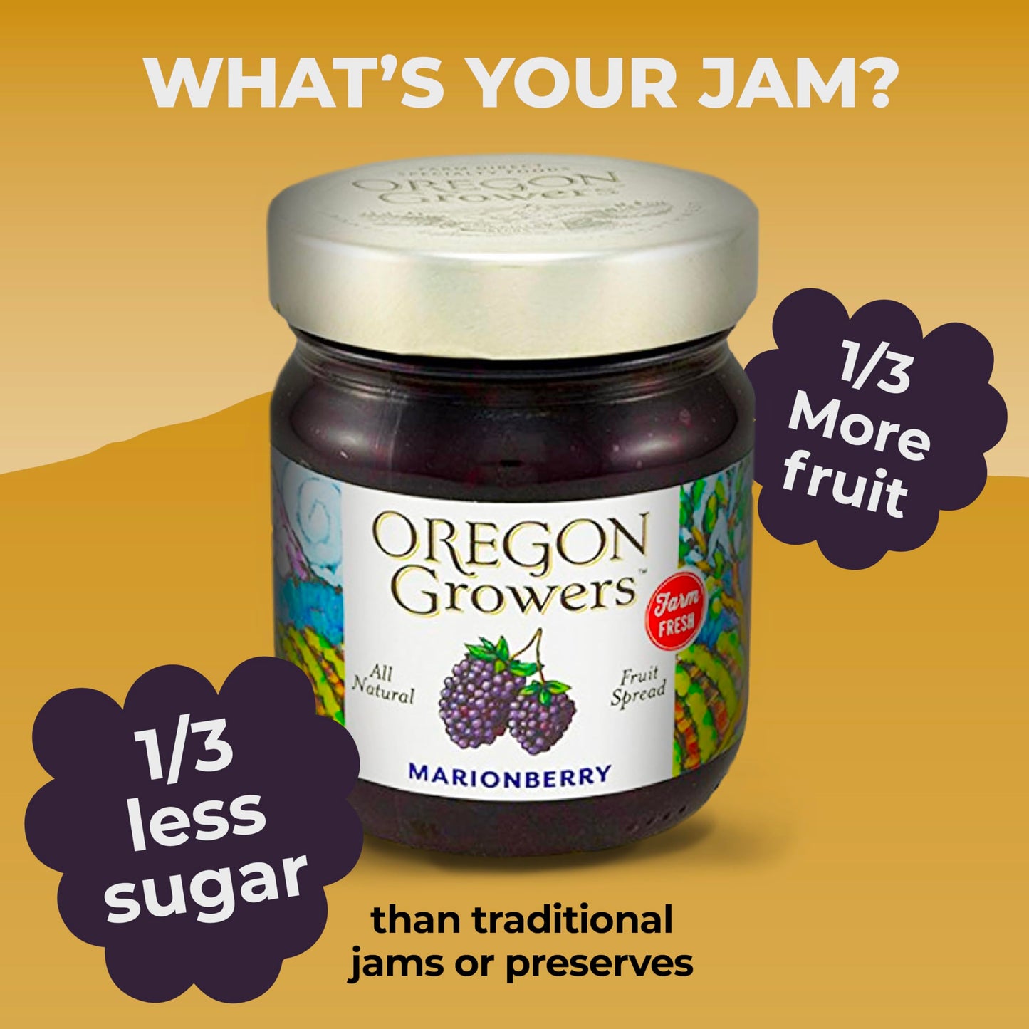 Oregon Growers, Marionberry Jam, Strawberry Jam, & Red Raspberry Jam Variety Pack - Marionberry Preserves, Strawberry Preserves, Red Raspberry Preserves, Organic Jelly - 12 Oz Each (Pack of 3)