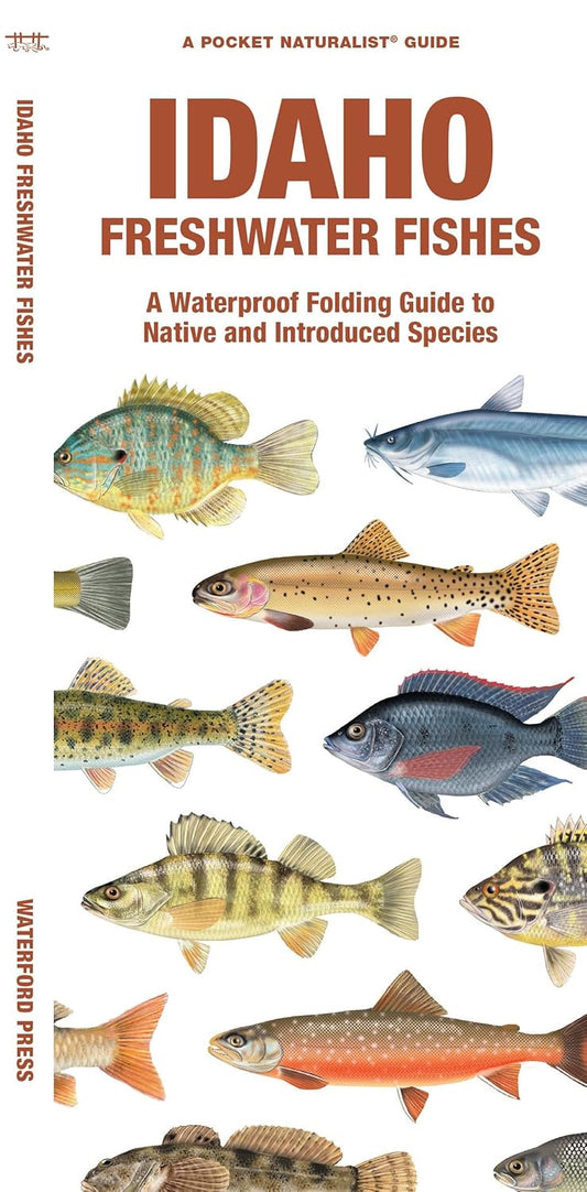Idaho Freshwater Fishes: A Folding Guide to Native and Introduced Species (Nature Observation North America)