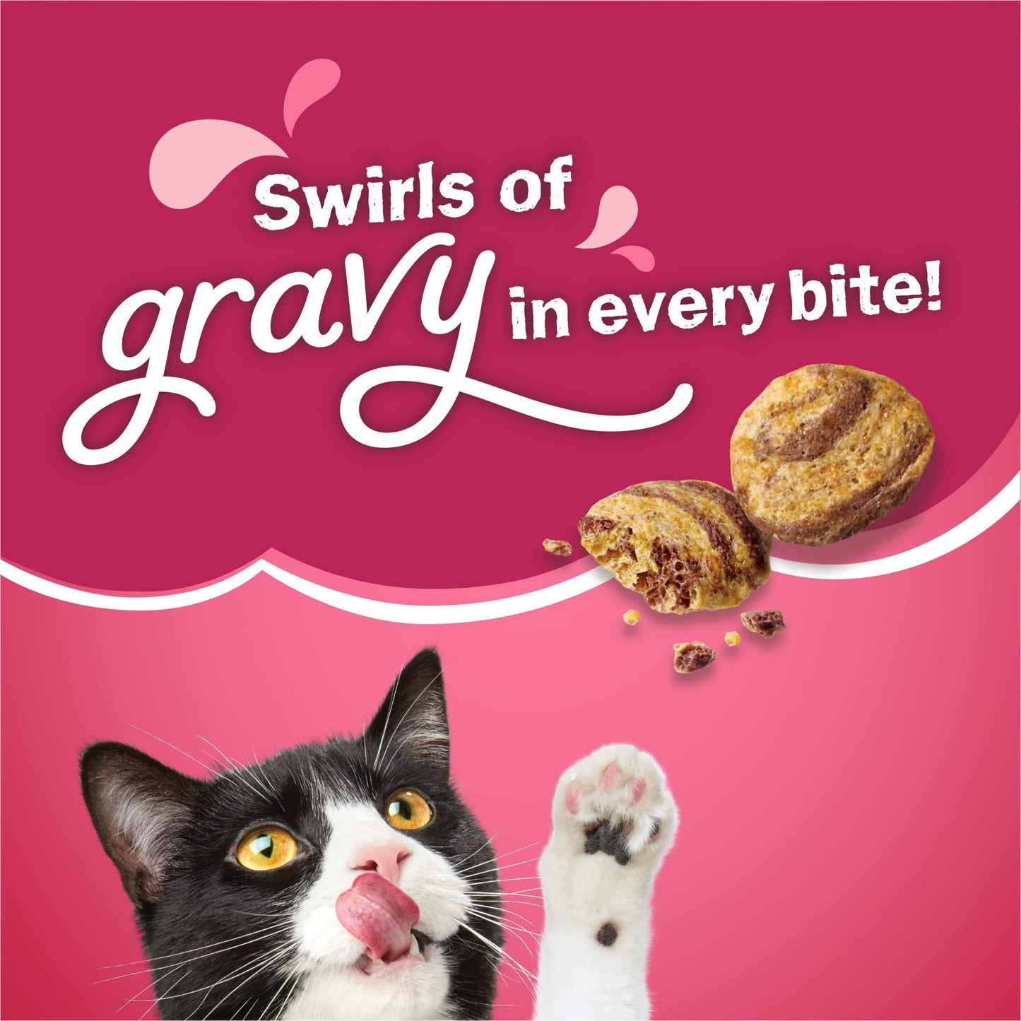 Purina Friskies Dry Cat Food Gravy Swirl'd With Flavors of Chicken, Salmon and Gravy - 22 lb. Bag