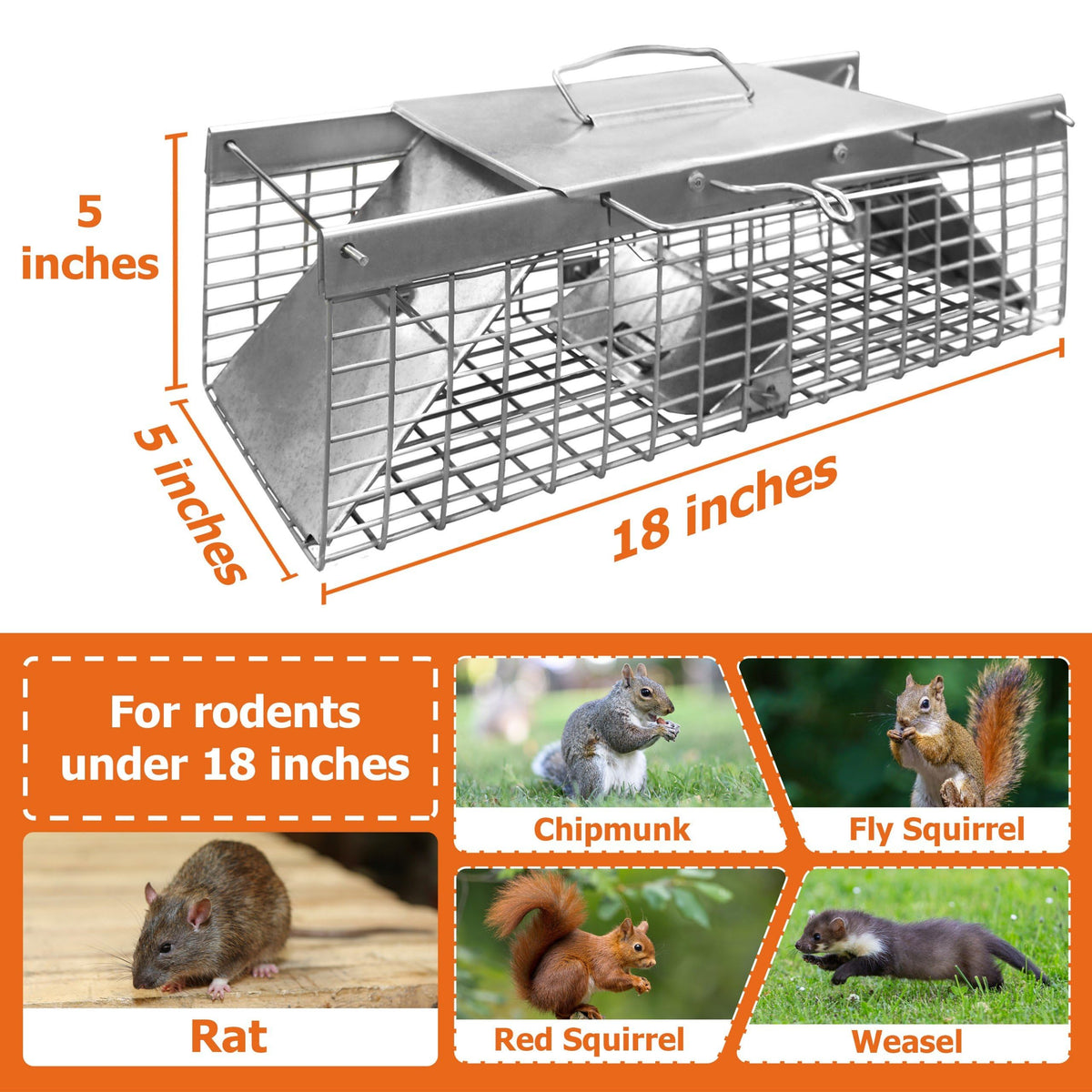 WCS 3x3 Square Body Grip Trap – Single Spring For Red Squirrel, Chipmunk, Weasel, Rat – Made In USA