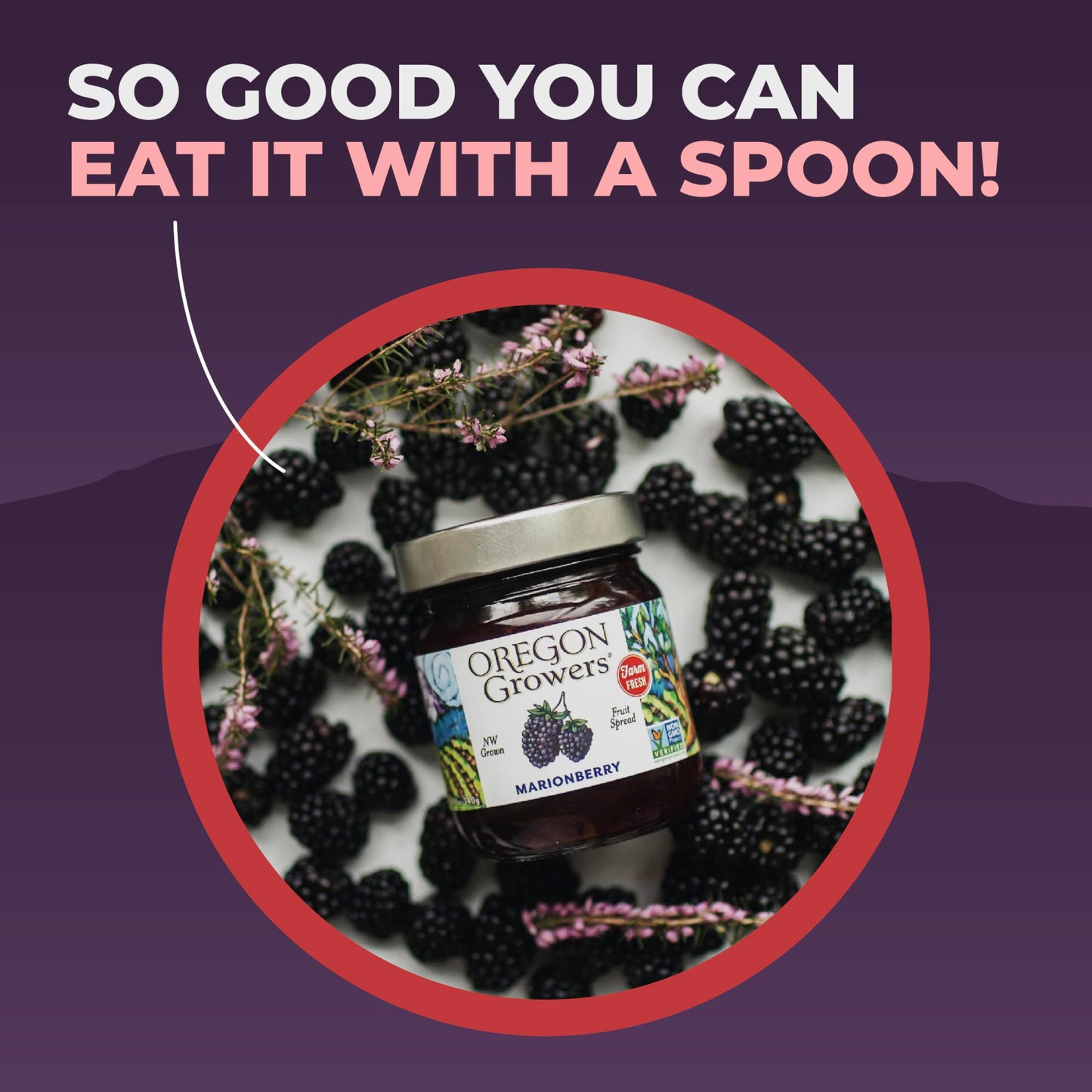 Oregon Growers, Marionberry Jam, Strawberry Jam, & Red Raspberry Jam Variety Pack - Marionberry Preserves, Strawberry Preserves, Red Raspberry Preserves, Organic Jelly - 12 Oz Each (Pack of 3)