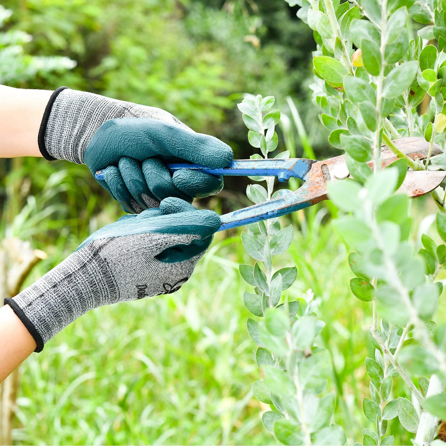 DOFOWORK Gardening Gloves - 6 Pair Gardening Gloves for Women/Men, Breathable Natural Latex Garden Glove with Grip, Outdoor Protective Working Glove for Weeding, Raking and Pruning - Black & Green